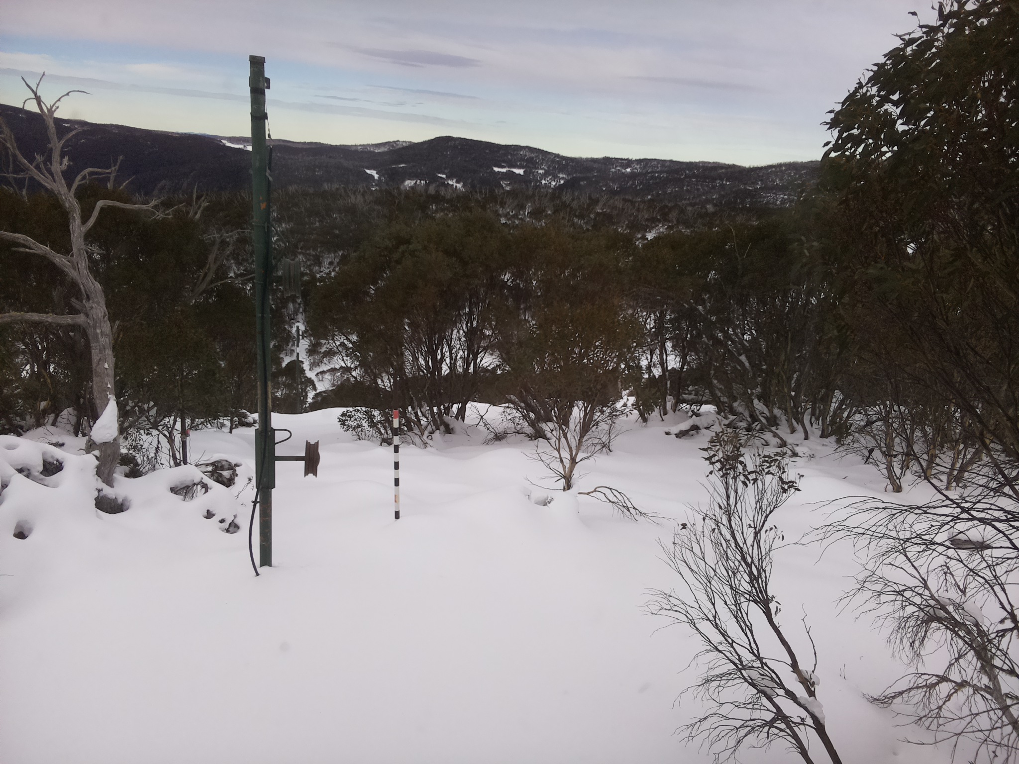 Bogong Web Cam 11:20am Thursday 19th of June 2025