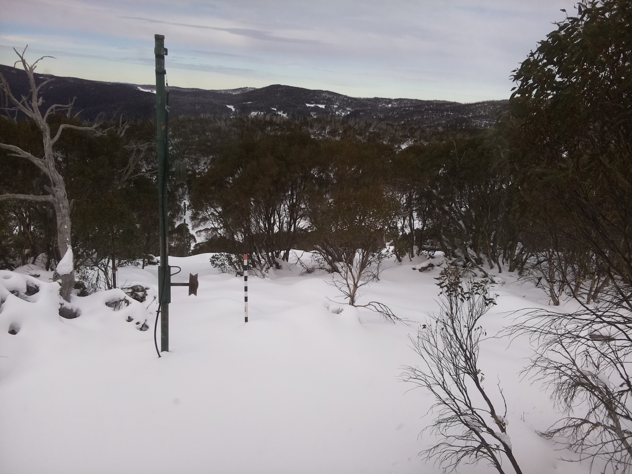 Bogong Web Cam 11:30am Thursday 19th of June 2025
