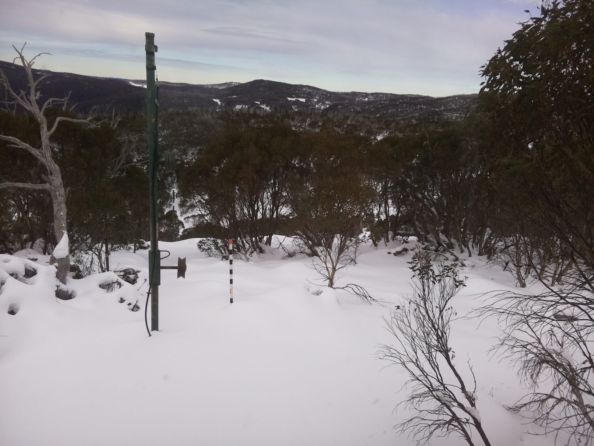 Bogong Web Cam 11:40am Thursday 19th of June 2025