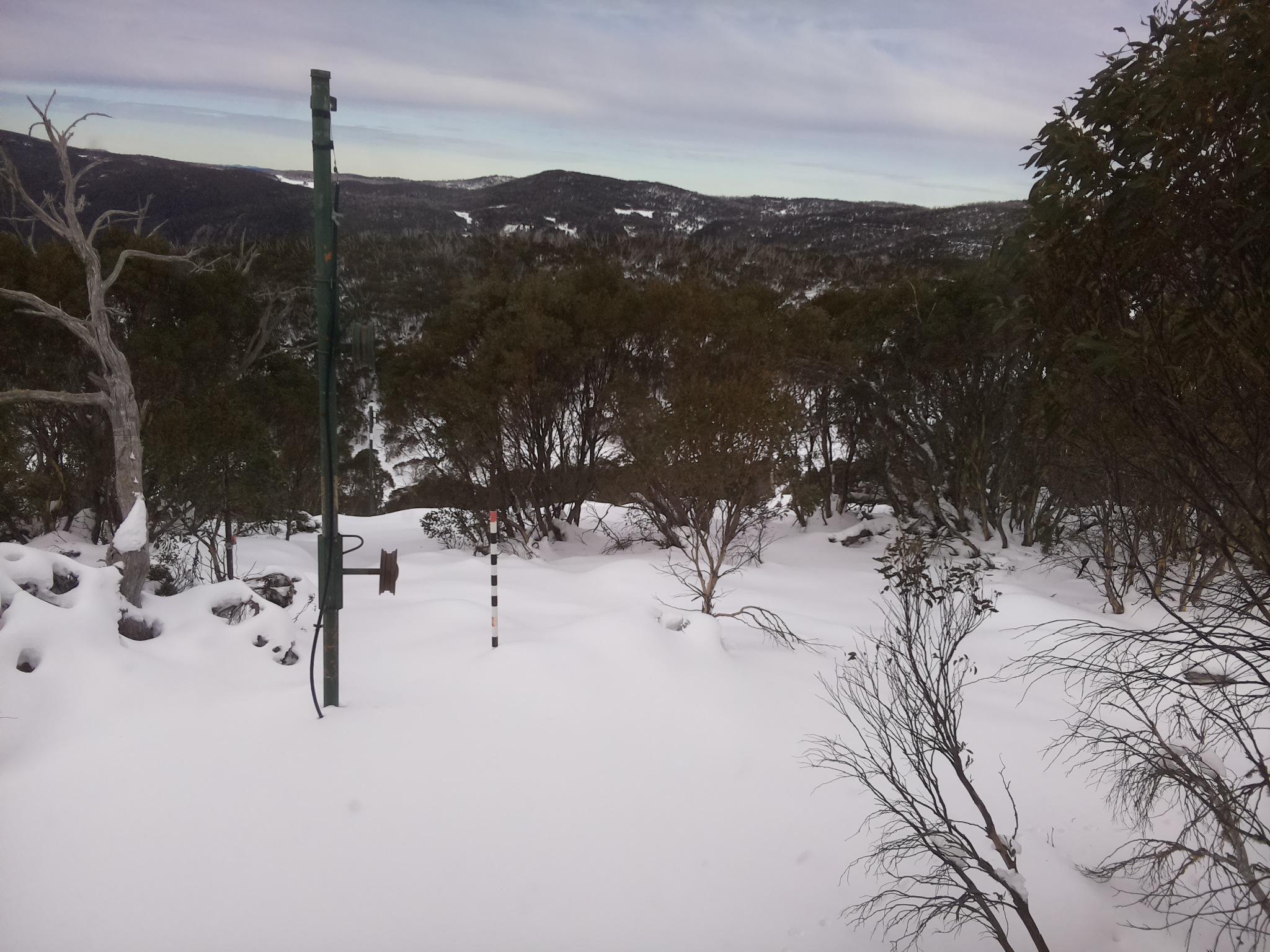 Bogong Web Cam 11:50am Thursday 19th of June 2025