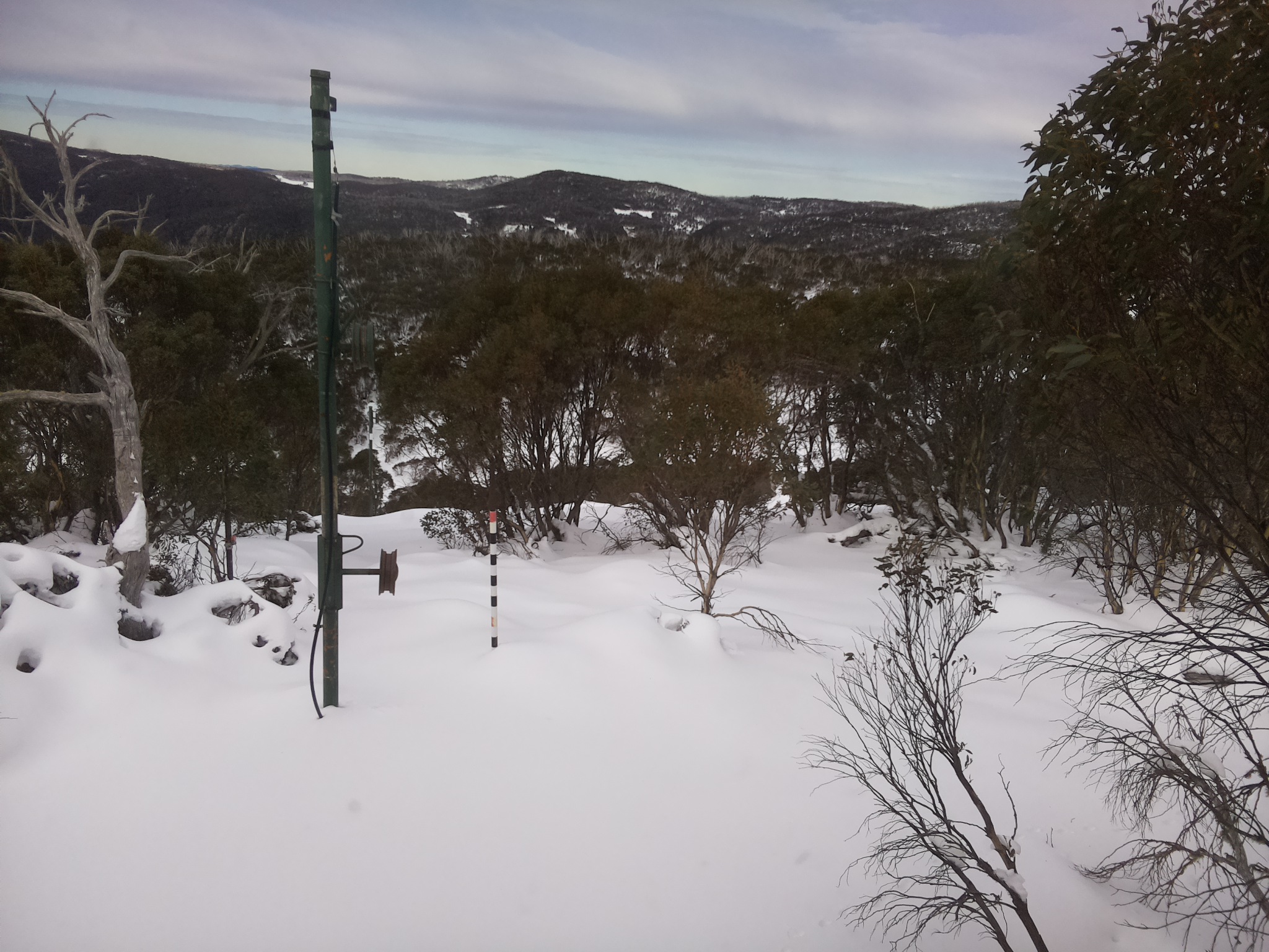 Bogong Web Cam 12:00pm Thursday 19th of June 2025