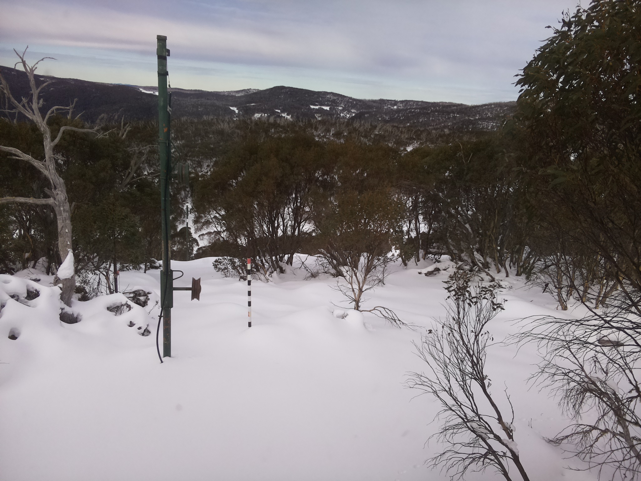Bogong Web Cam 12:10pm Thursday 19th of June 2025
