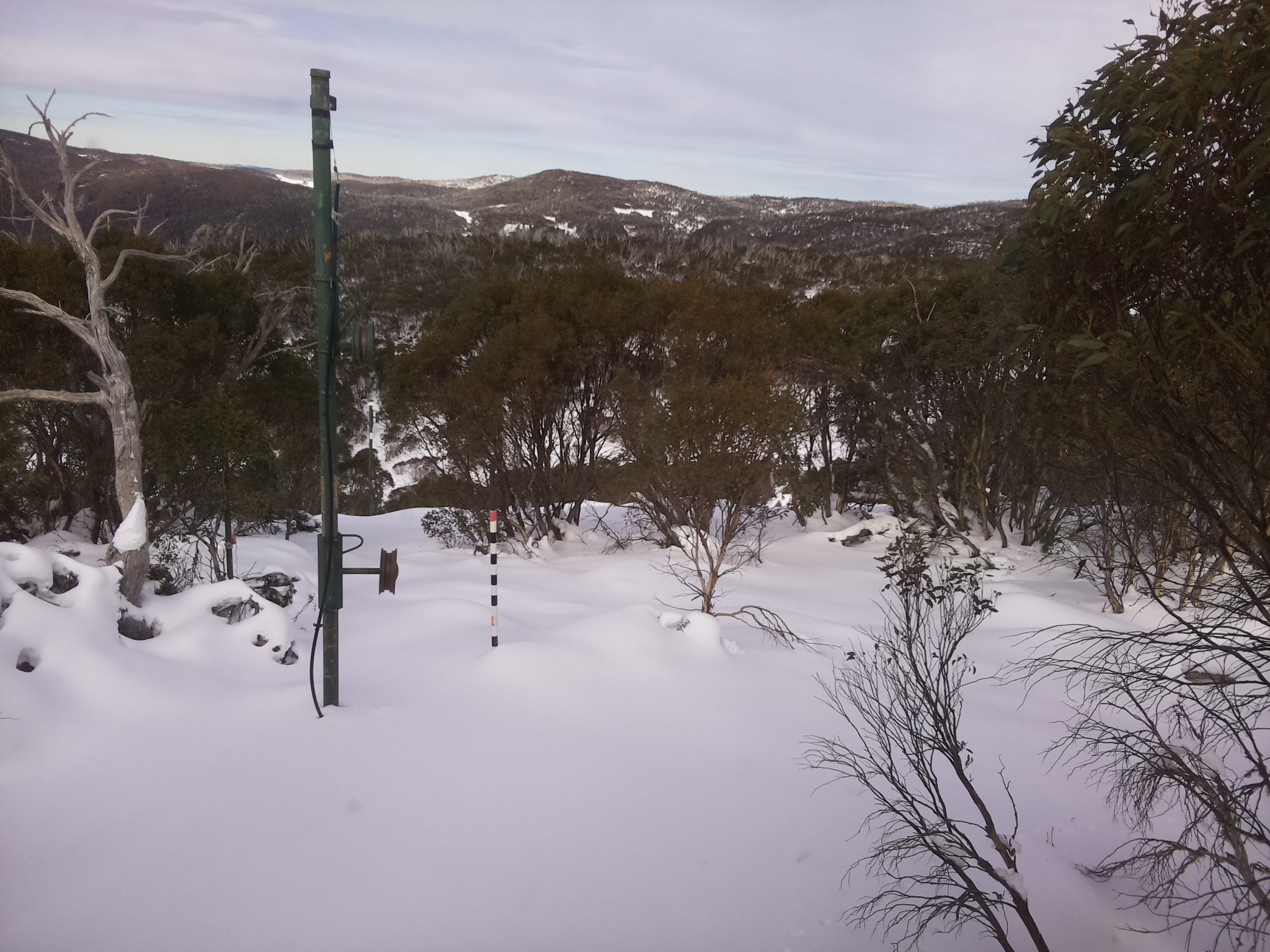 Bogong Web Cam 12:30pm Thursday 19th of June 2025
