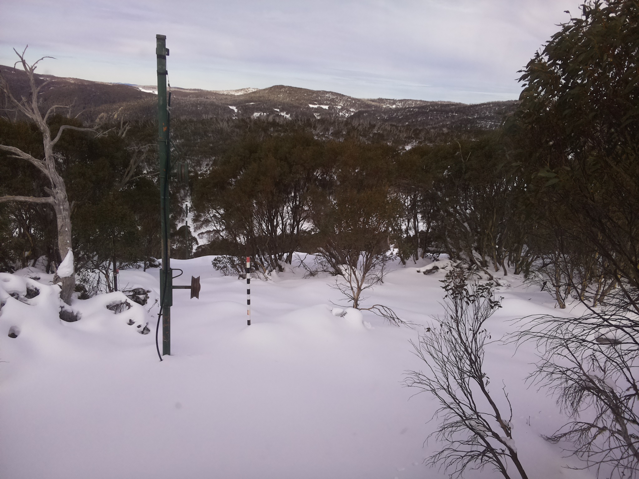 Bogong Web Cam 12:40pm Thursday 19th of June 2025