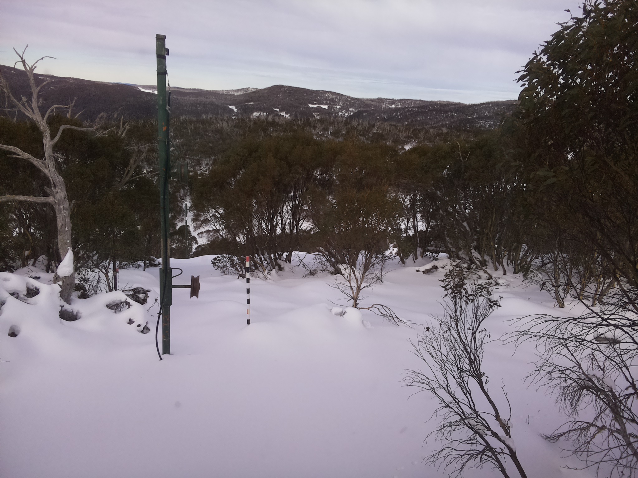 Bogong Web Cam 12:50pm Thursday 19th of June 2025