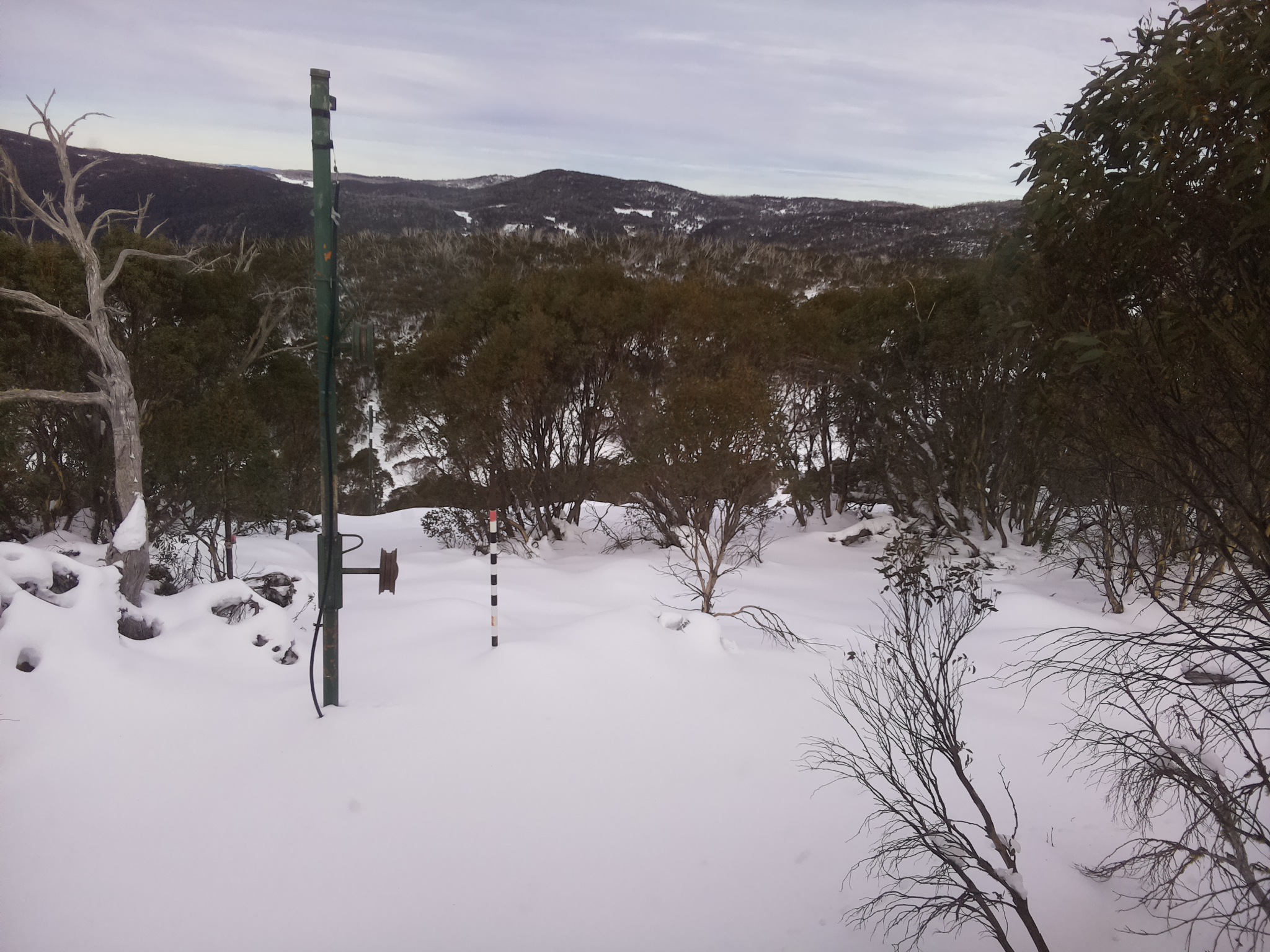 Bogong Web Cam 1:10pm Thursday 19th of June 2025