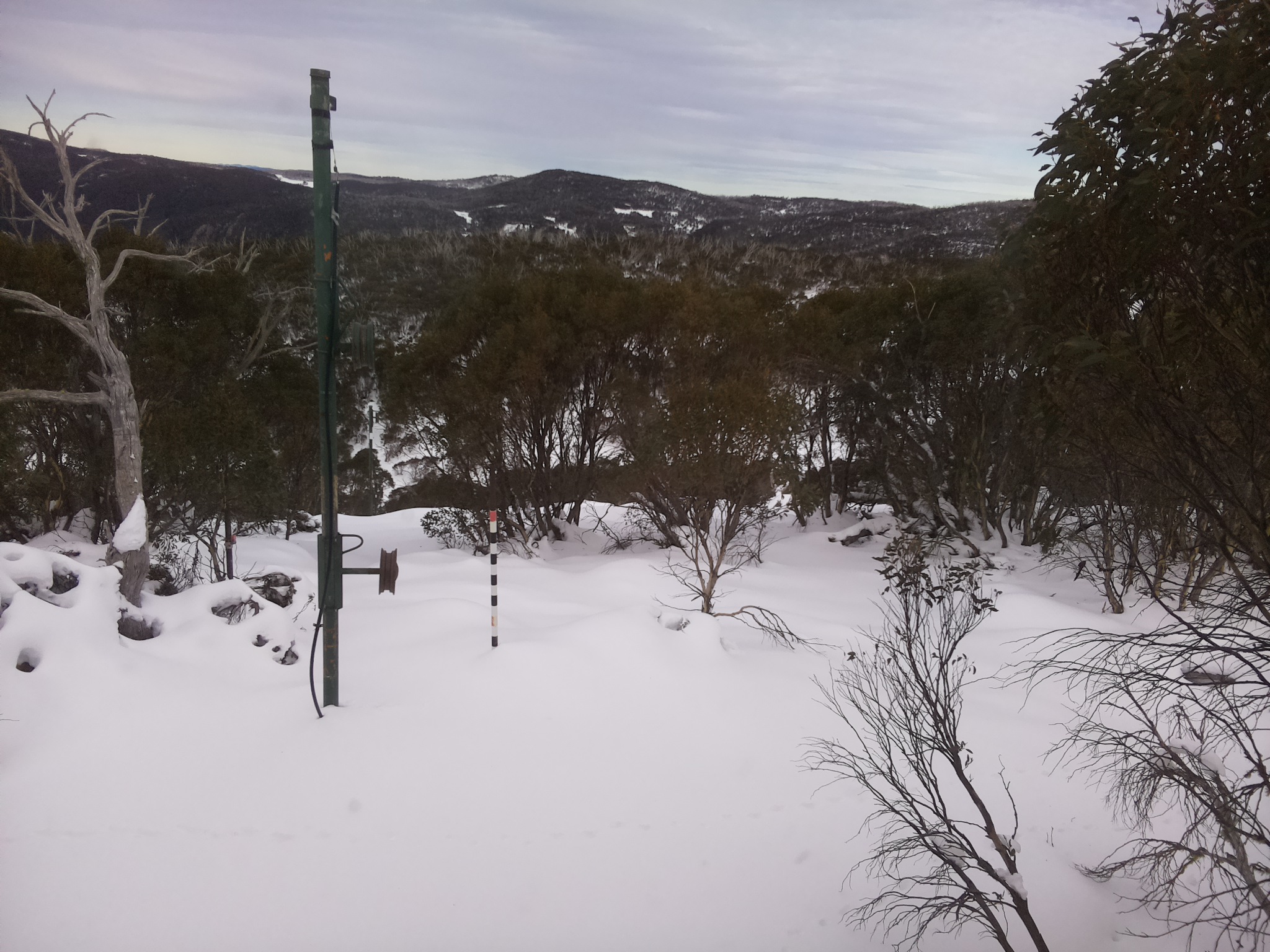 Bogong Web Cam 1:20pm Thursday 19th of June 2025