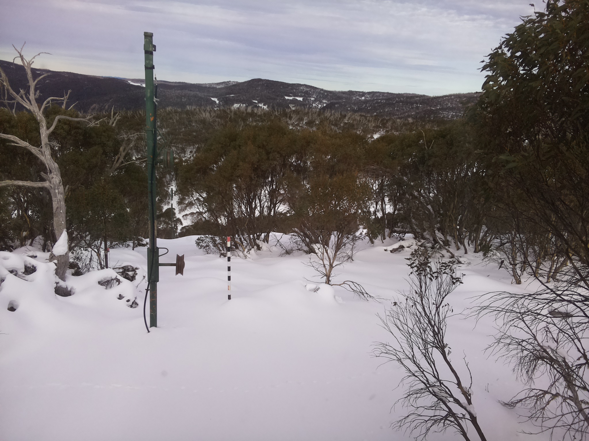 Bogong Web Cam 1:40pm Thursday 19th of June 2025