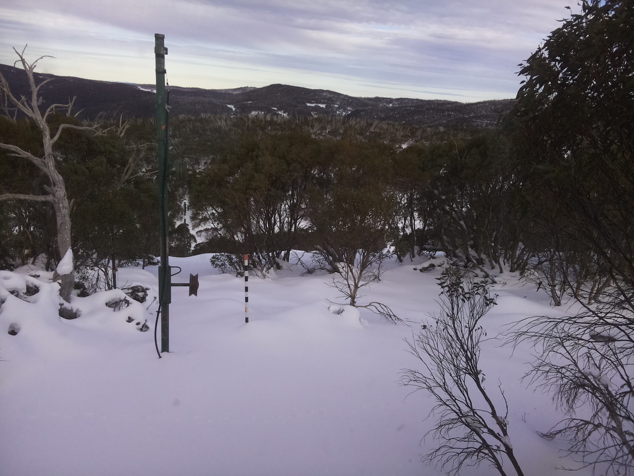 Bogong Web Cam 3:00pm Thursday 19th of June 2025