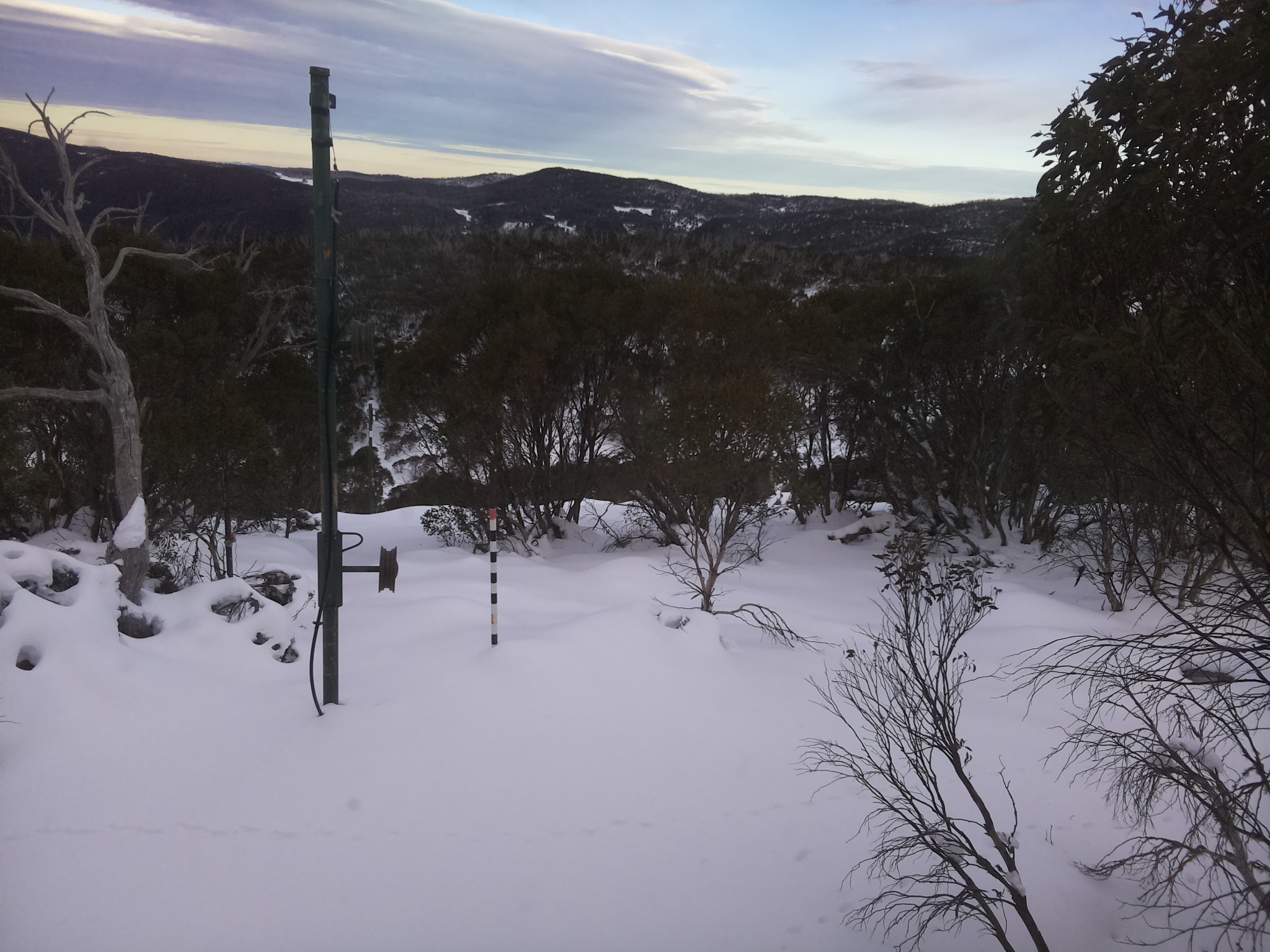 Bogong Web Cam 4:00pm Thursday 19th of June 2025
