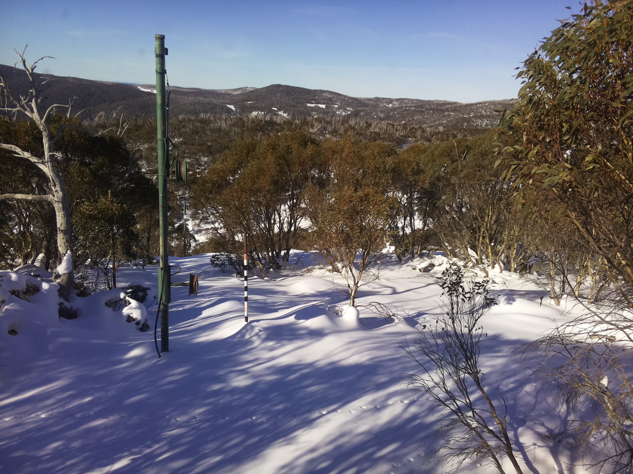 Bogong Web Cam 10:20am Friday 20th of June 2025