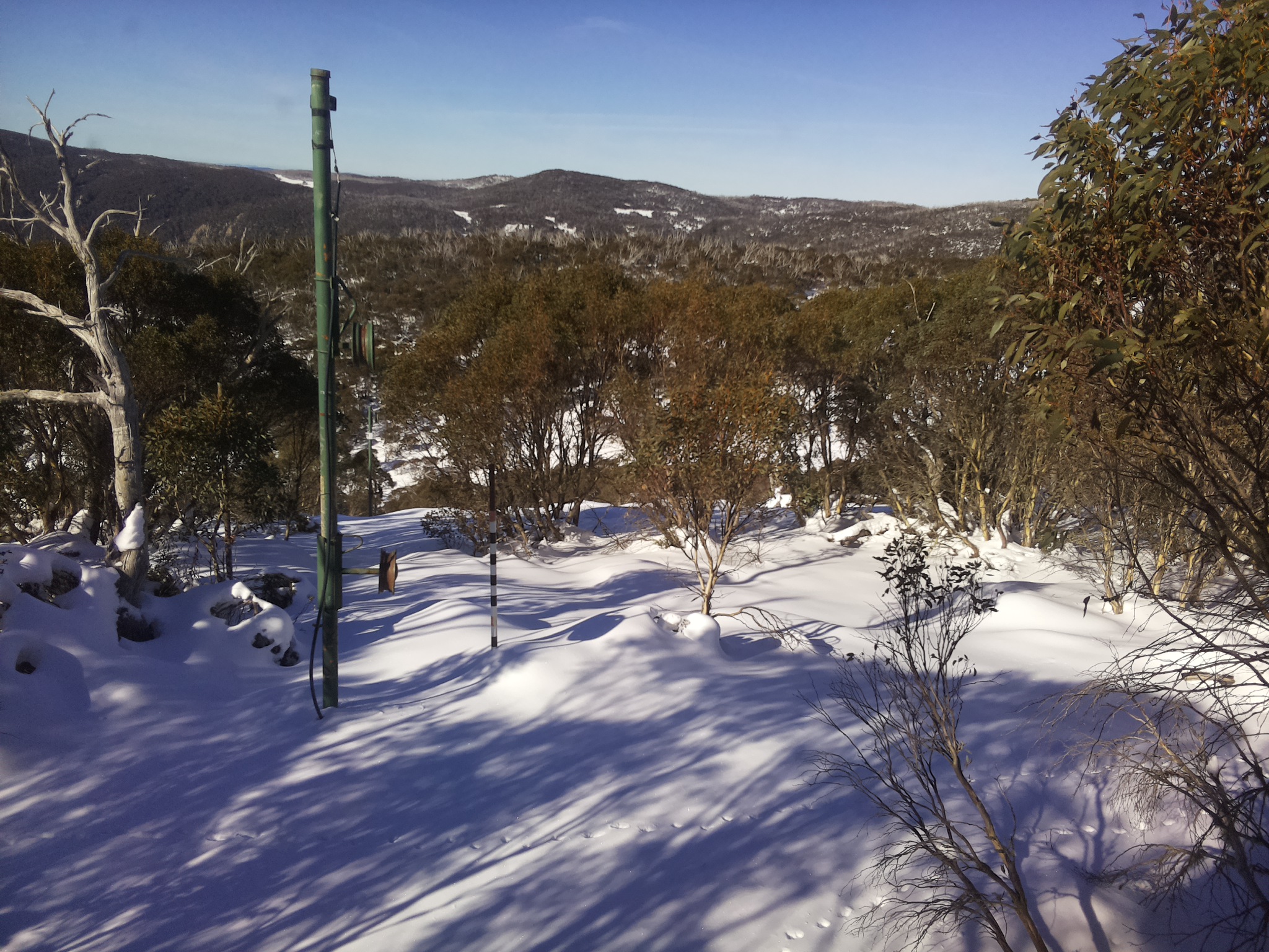 Bogong Web Cam 10:40am Friday 20th of June 2025