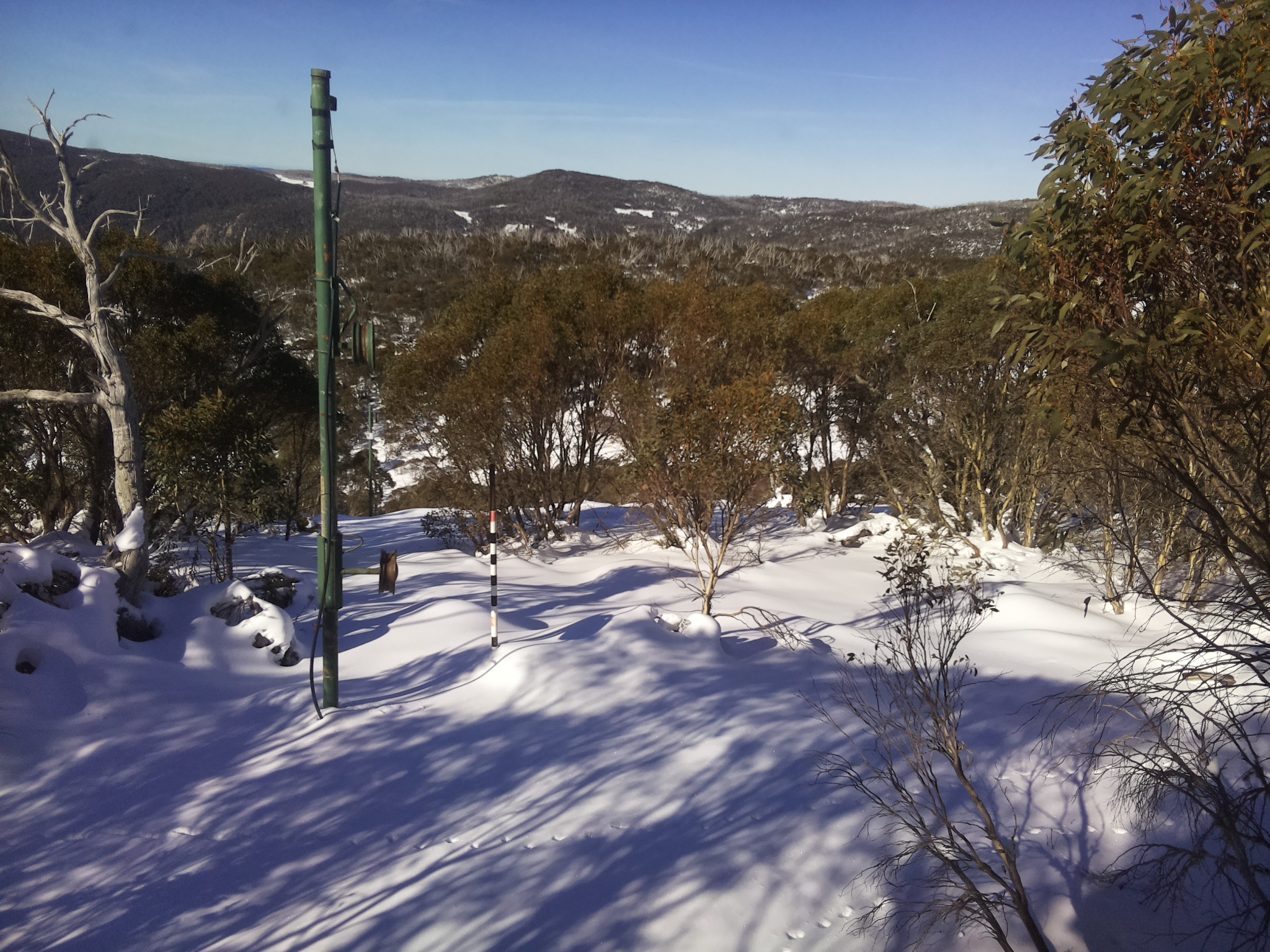 Bogong Web Cam 10:50am Friday 20th of June 2025