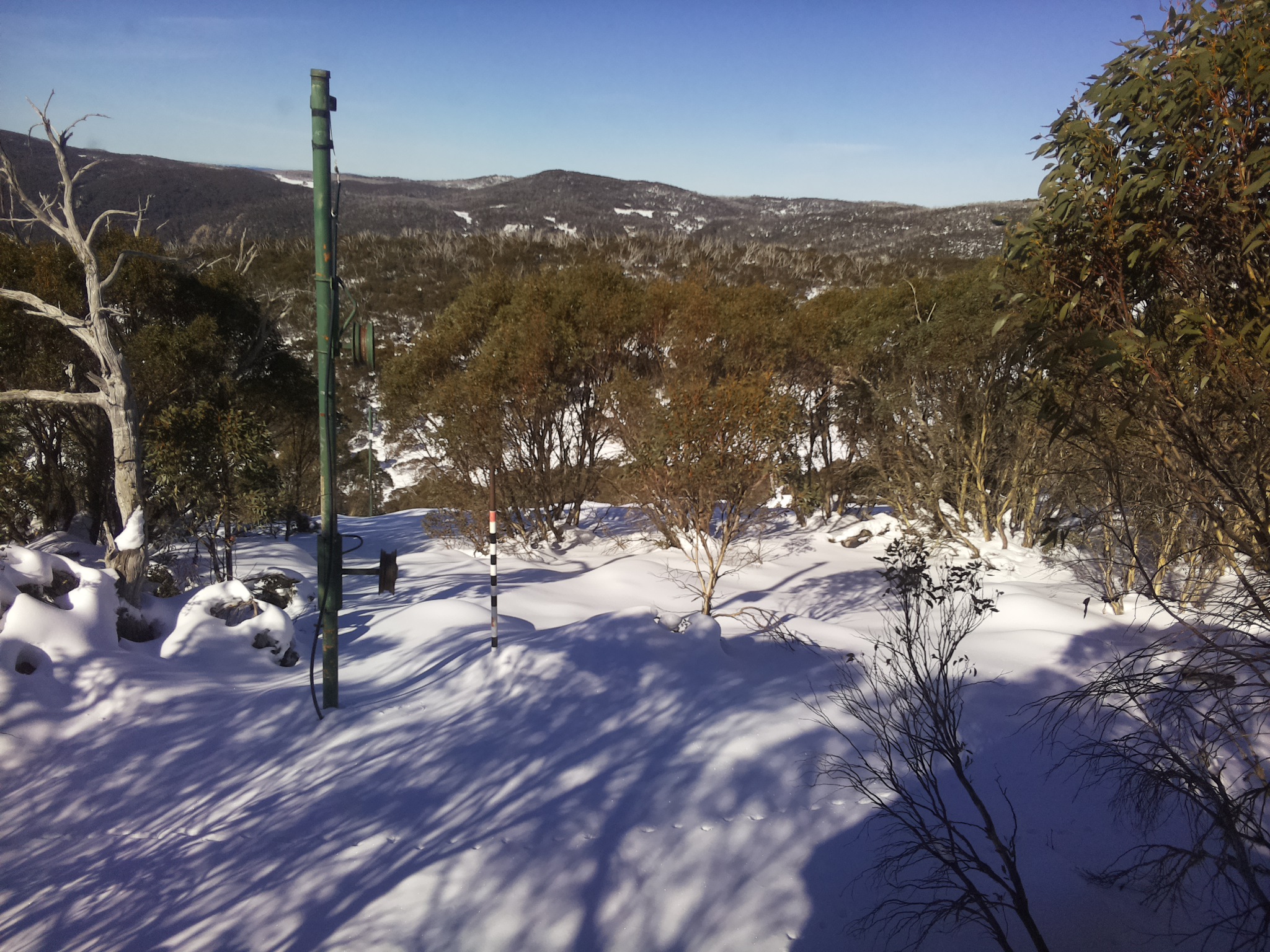 Bogong Web Cam 11:40am Friday 20th of June 2025