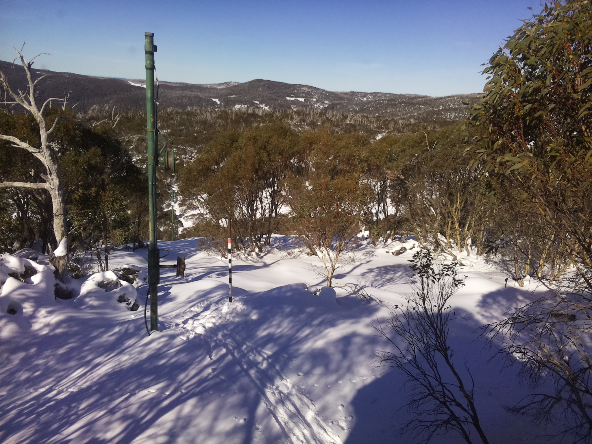 Bogong Web Cam 11:50am Friday 20th of June 2025