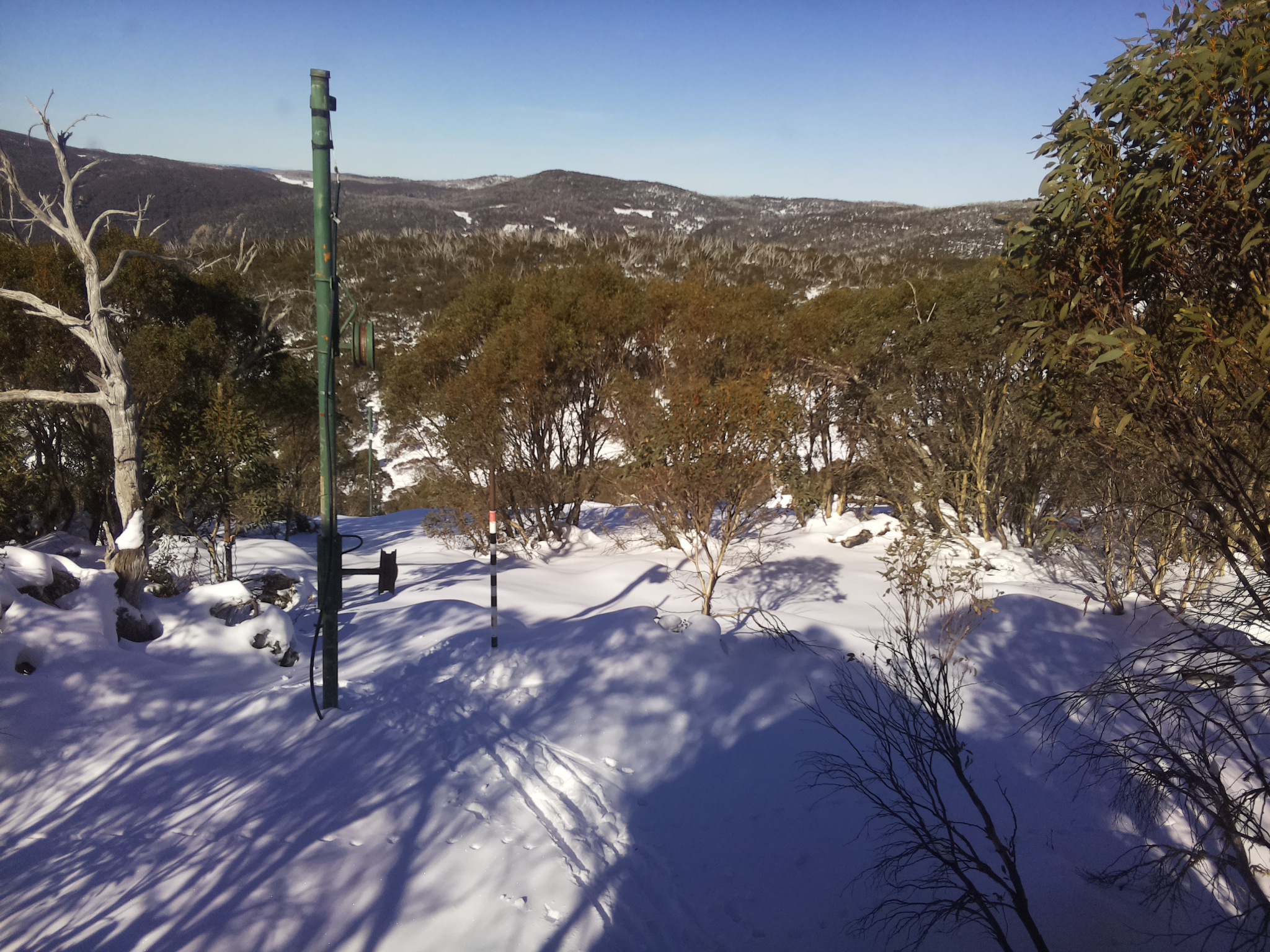 Bogong Web Cam 12:20pm Friday 20th of June 2025
