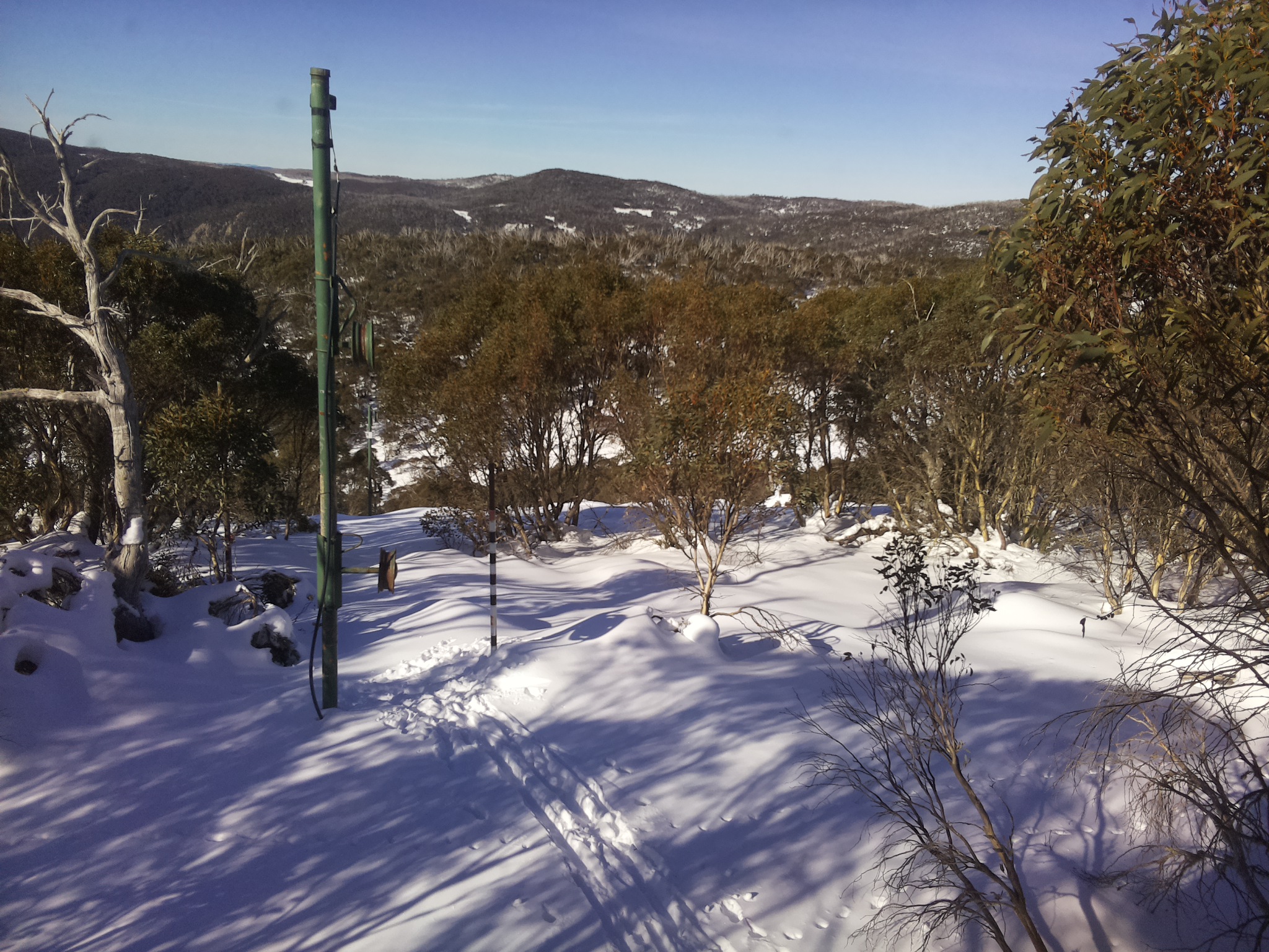 Bogong Web Cam 10:40am Saturday 21st of June 2025