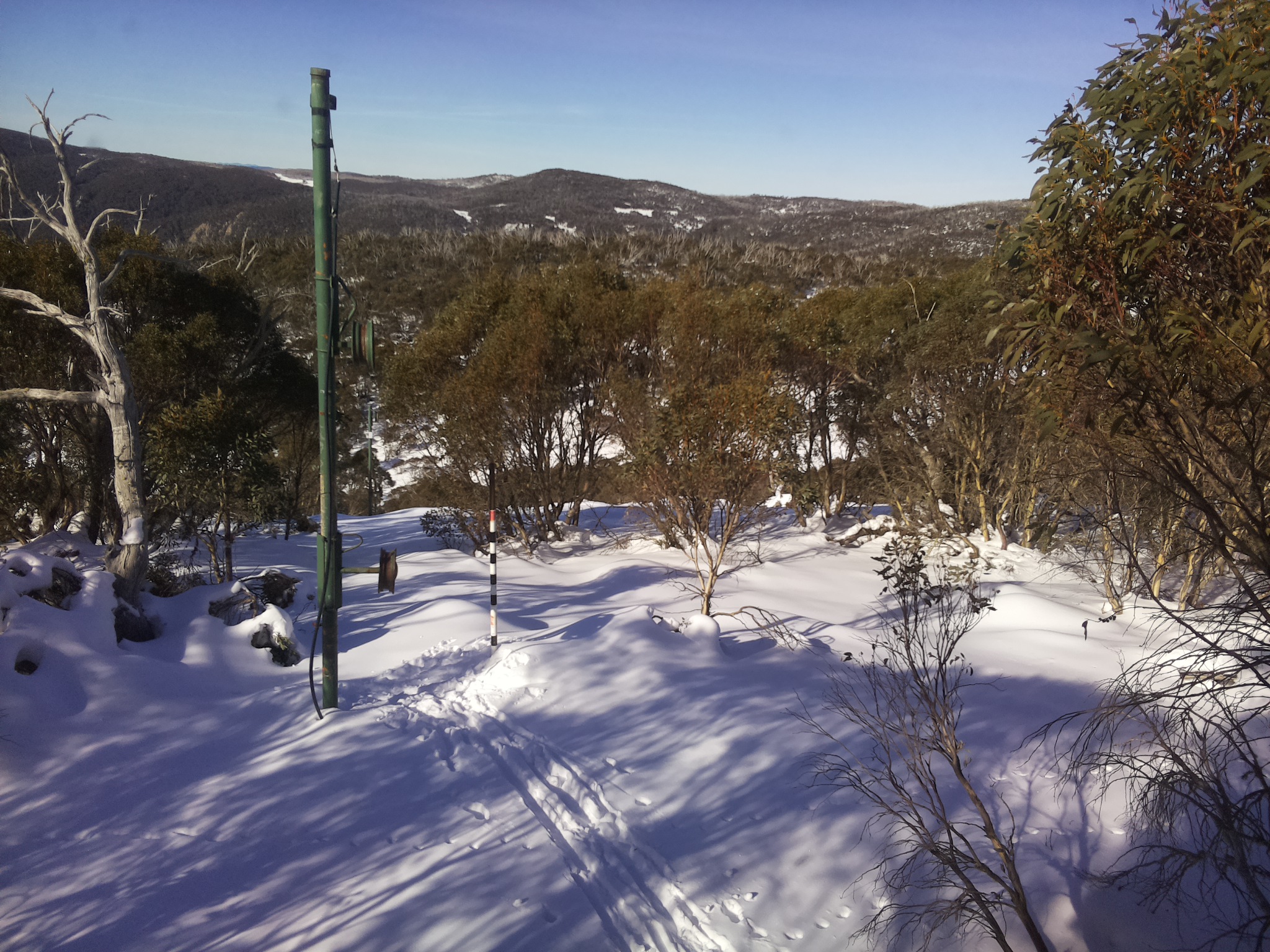 Bogong Web Cam 10:50am Saturday 21st of June 2025