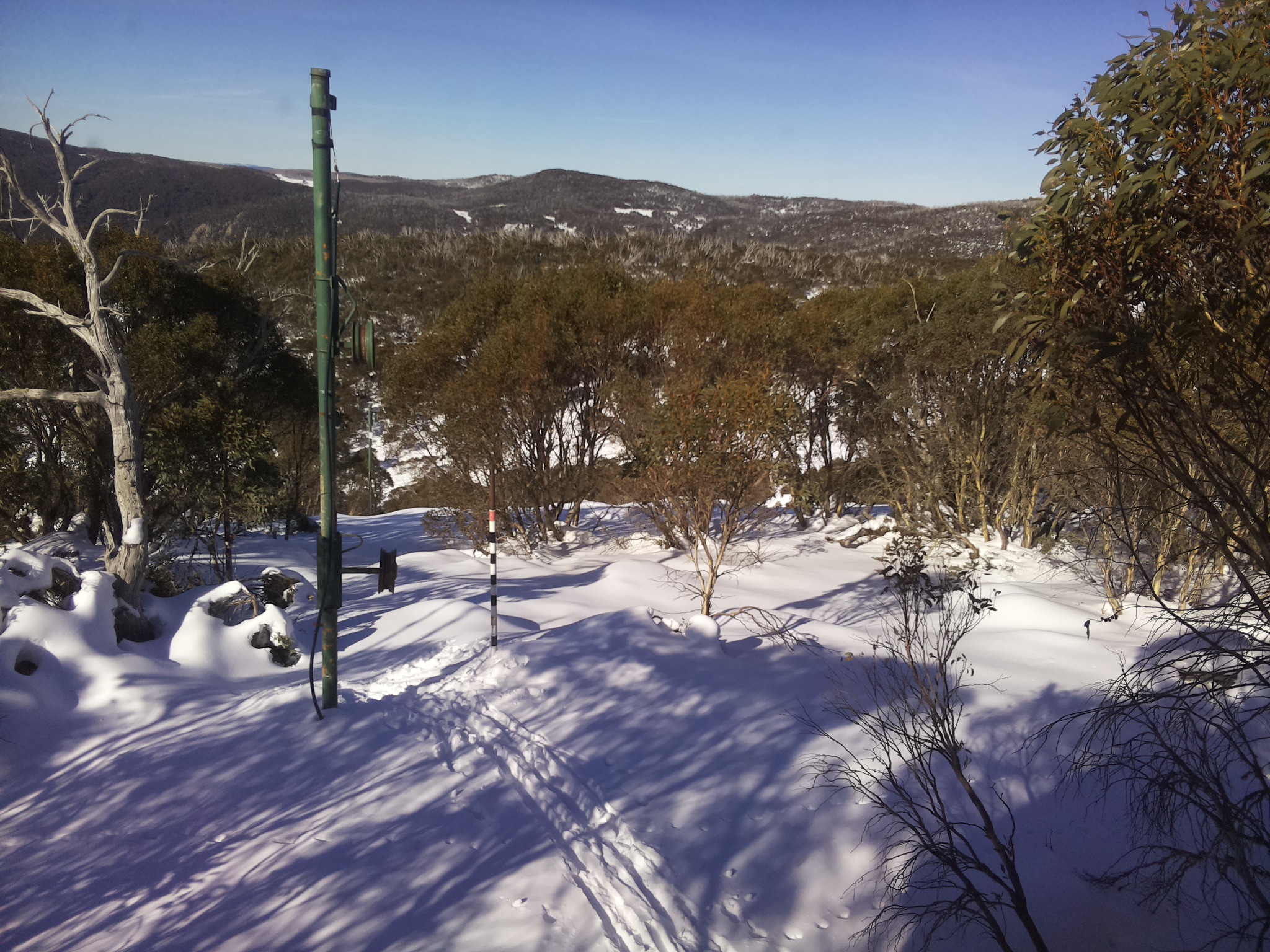 Bogong Web Cam 11:20am Saturday 21st of June 2025
