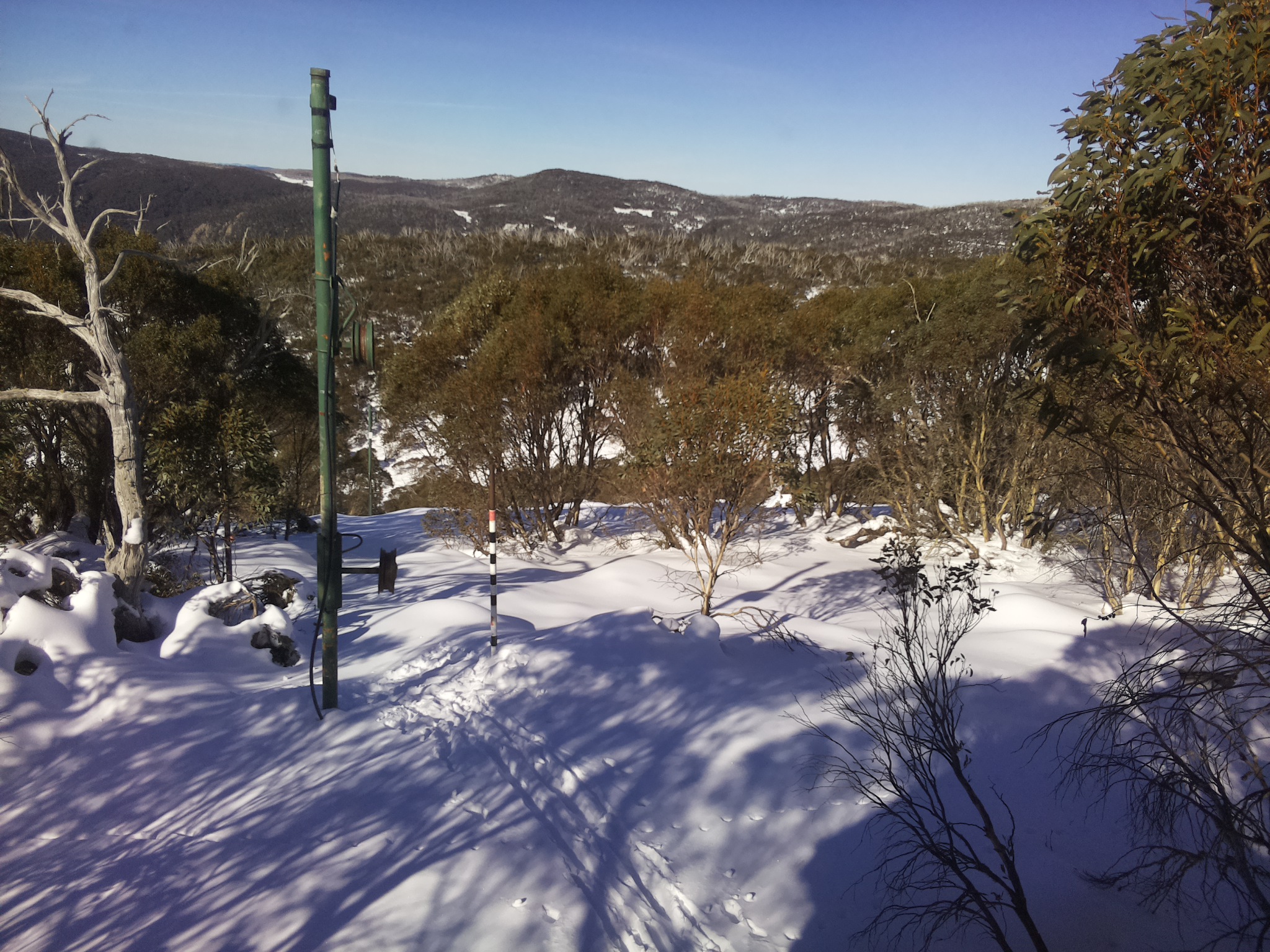 Bogong Web Cam 11:40am Saturday 21st of June 2025