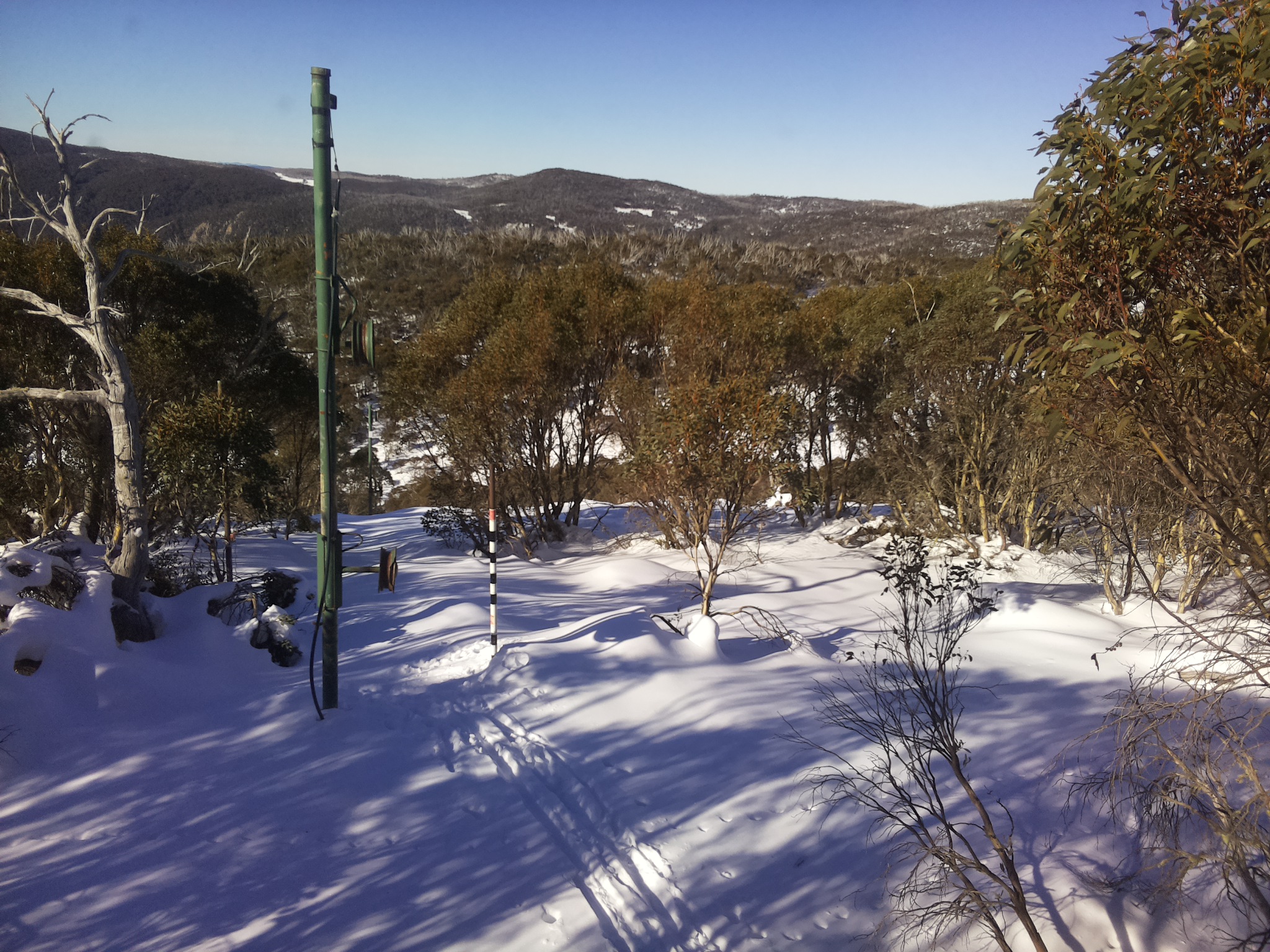 Bogong Web Cam 10:20am Sunday 22nd of June 2025