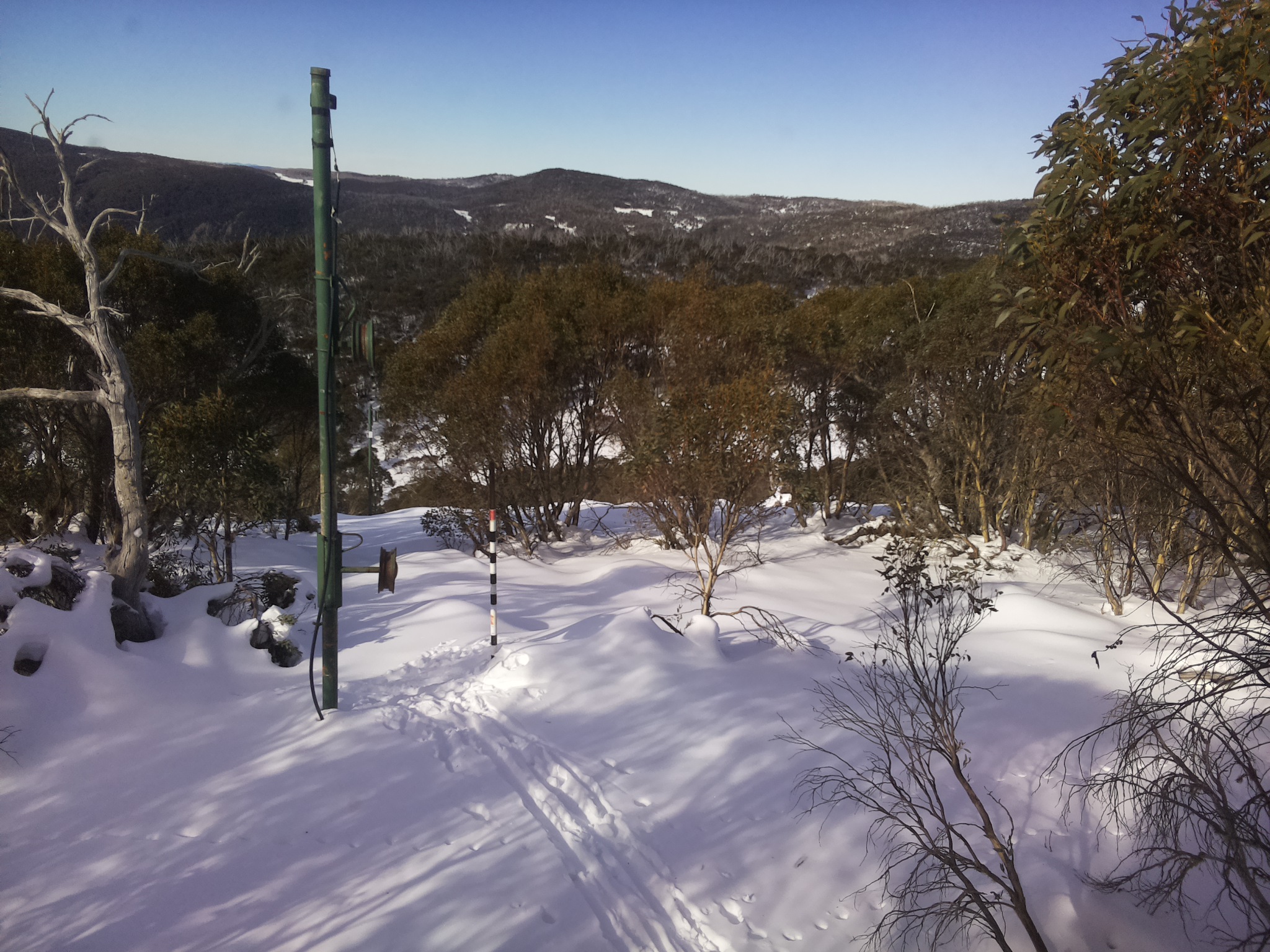 Bogong Web Cam 10:50am Sunday 22nd of June 2025