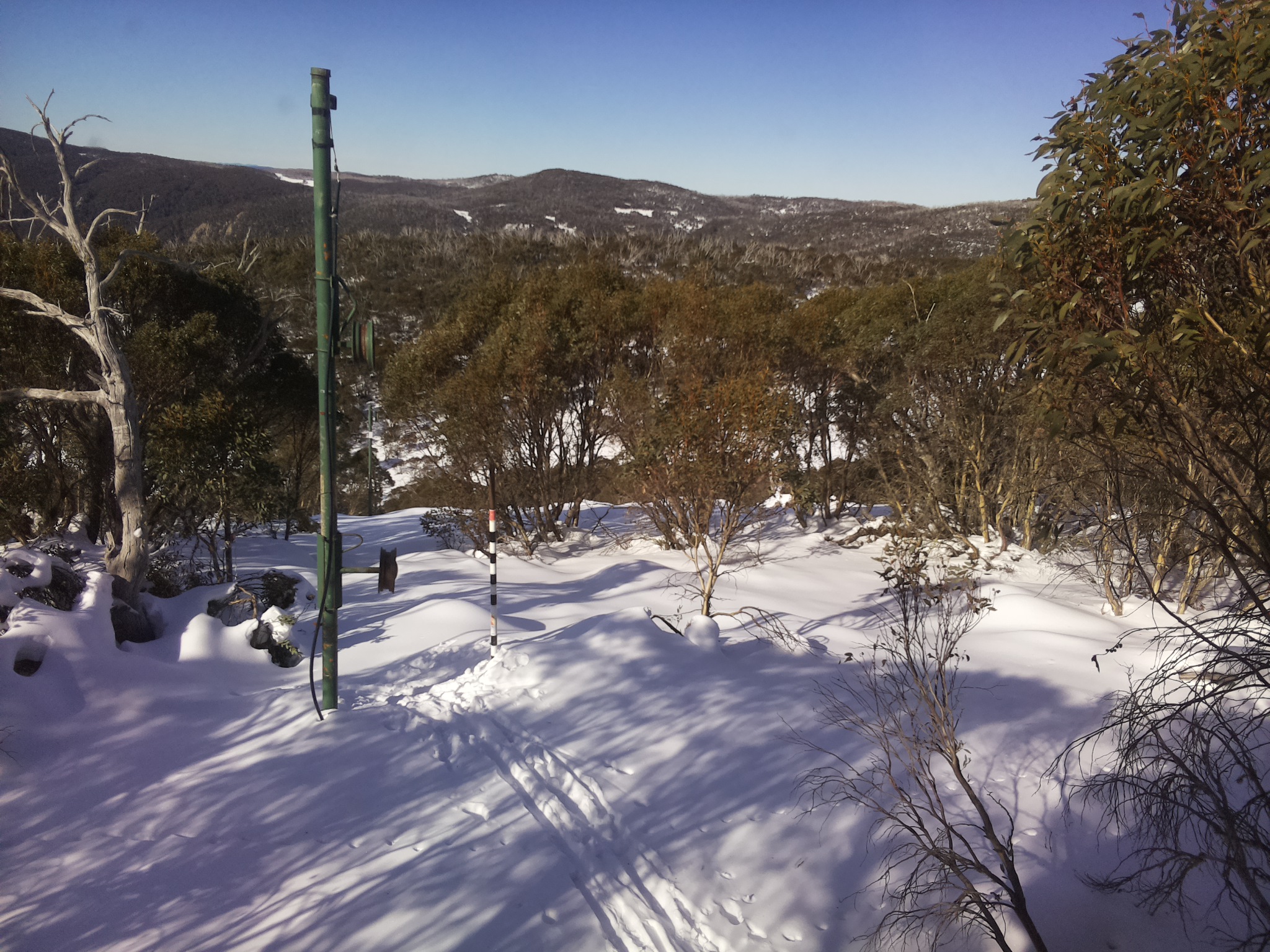 Bogong Web Cam 11:00am Sunday 22nd of June 2025