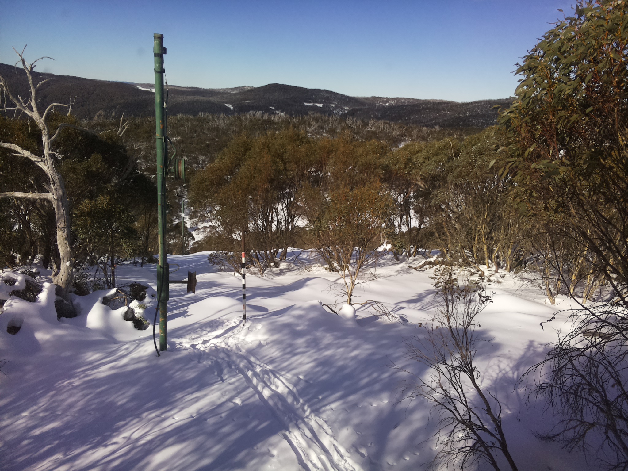 Bogong Web Cam 11:10am Sunday 22nd of June 2025
