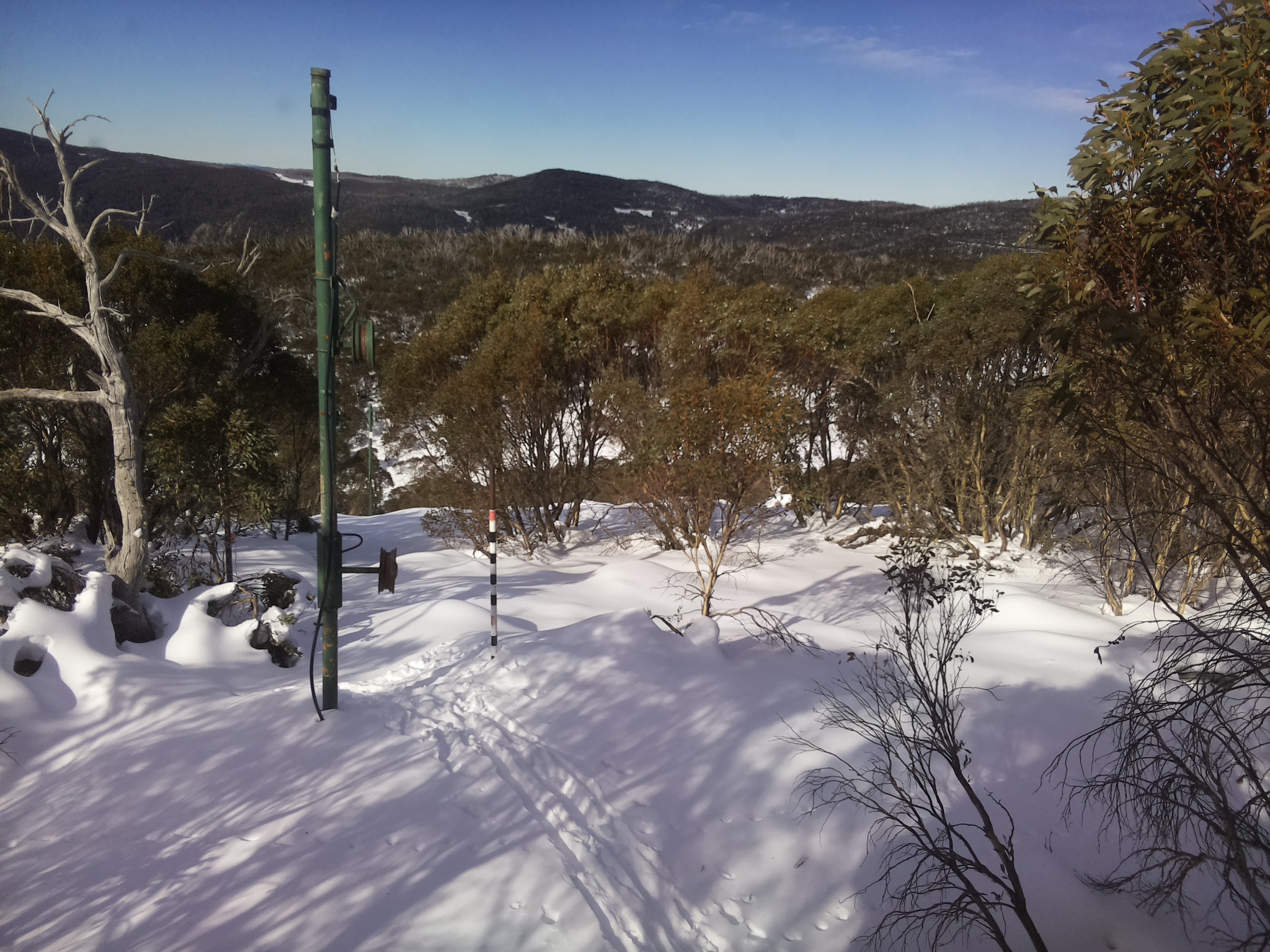 Bogong Web Cam 11:30am Sunday 22nd of June 2025