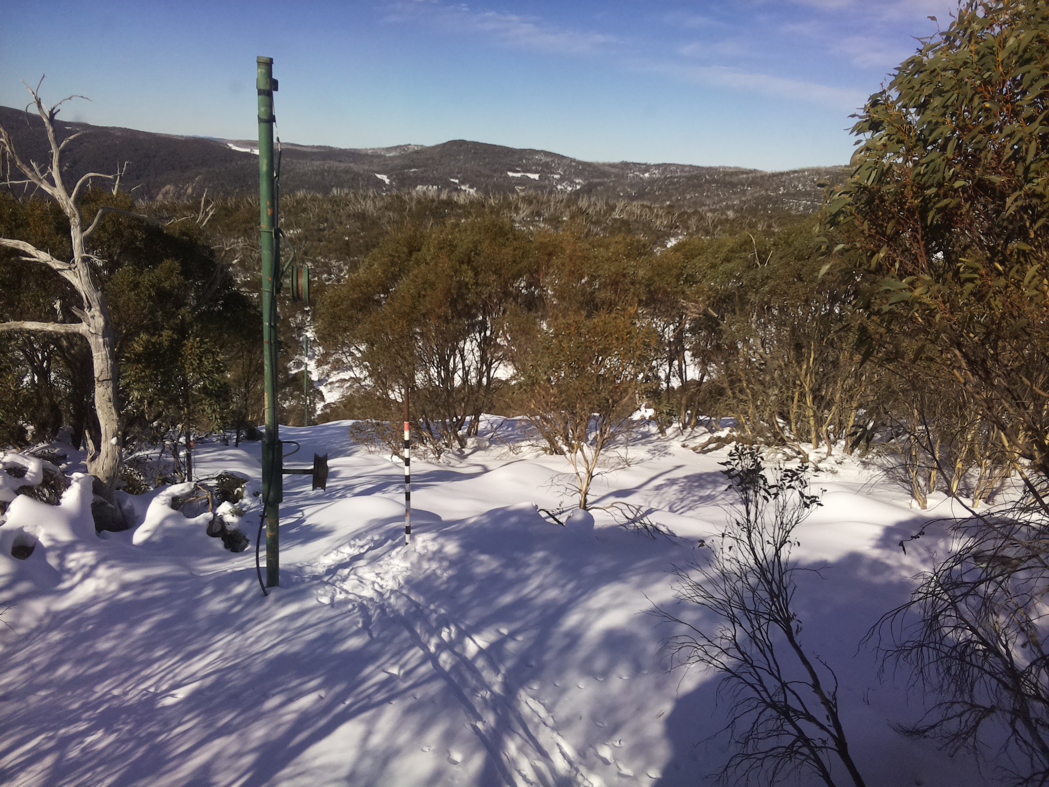 Bogong Web Cam 11:40am Sunday 22nd of June 2025