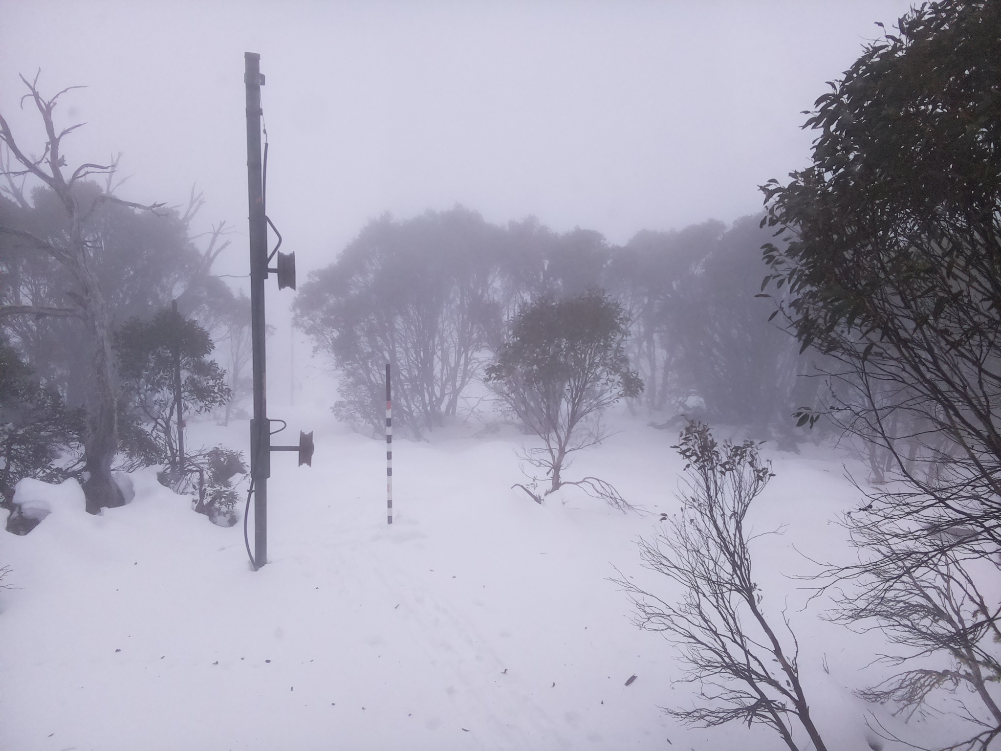 Bogong Web Cam 8:10am Monday 23rd of June 2025