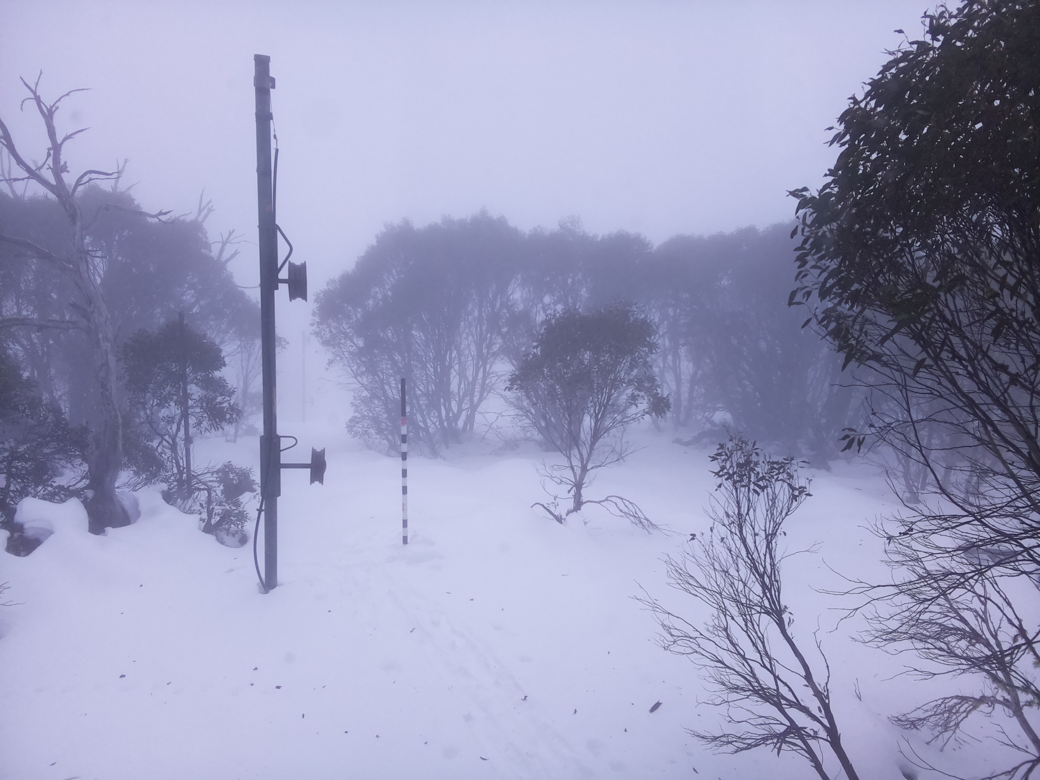 Bogong Web Cam 9:00am Monday 23rd of June 2025