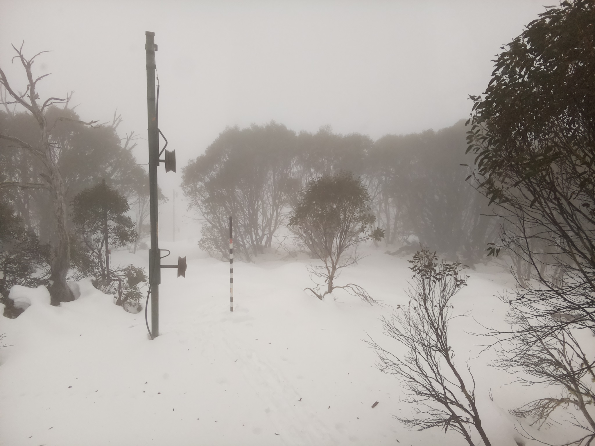 Bogong Web Cam 9:20am Monday 23rd of June 2025
