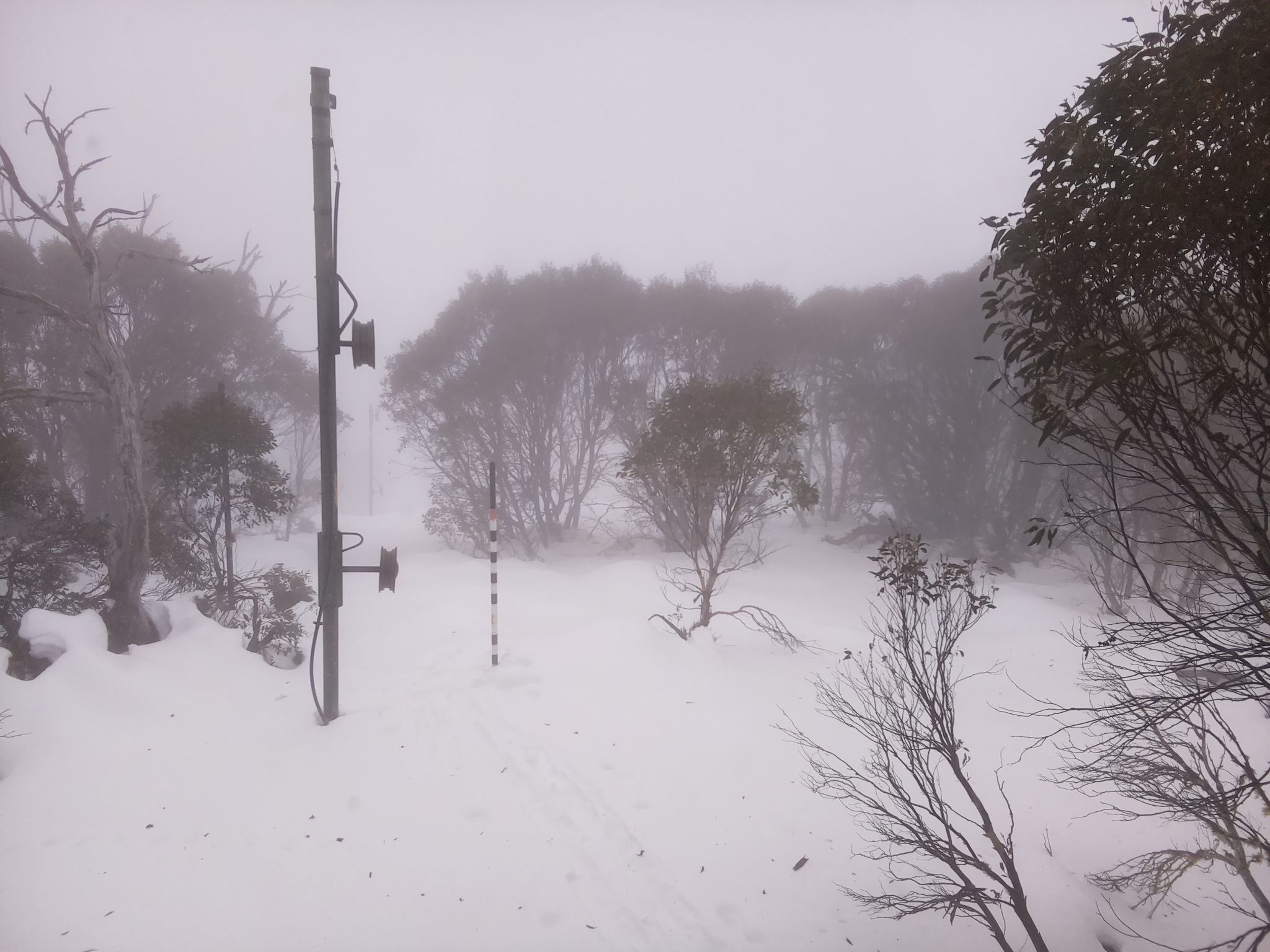 Bogong Web Cam 9:30am Monday 23rd of June 2025