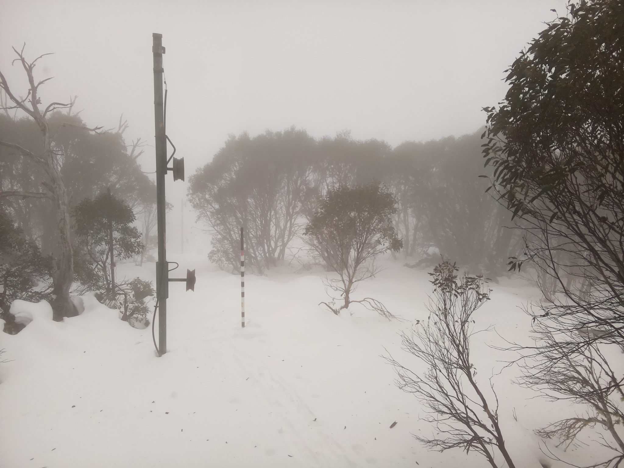 Bogong Web Cam 9:50am Monday 23rd of June 2025