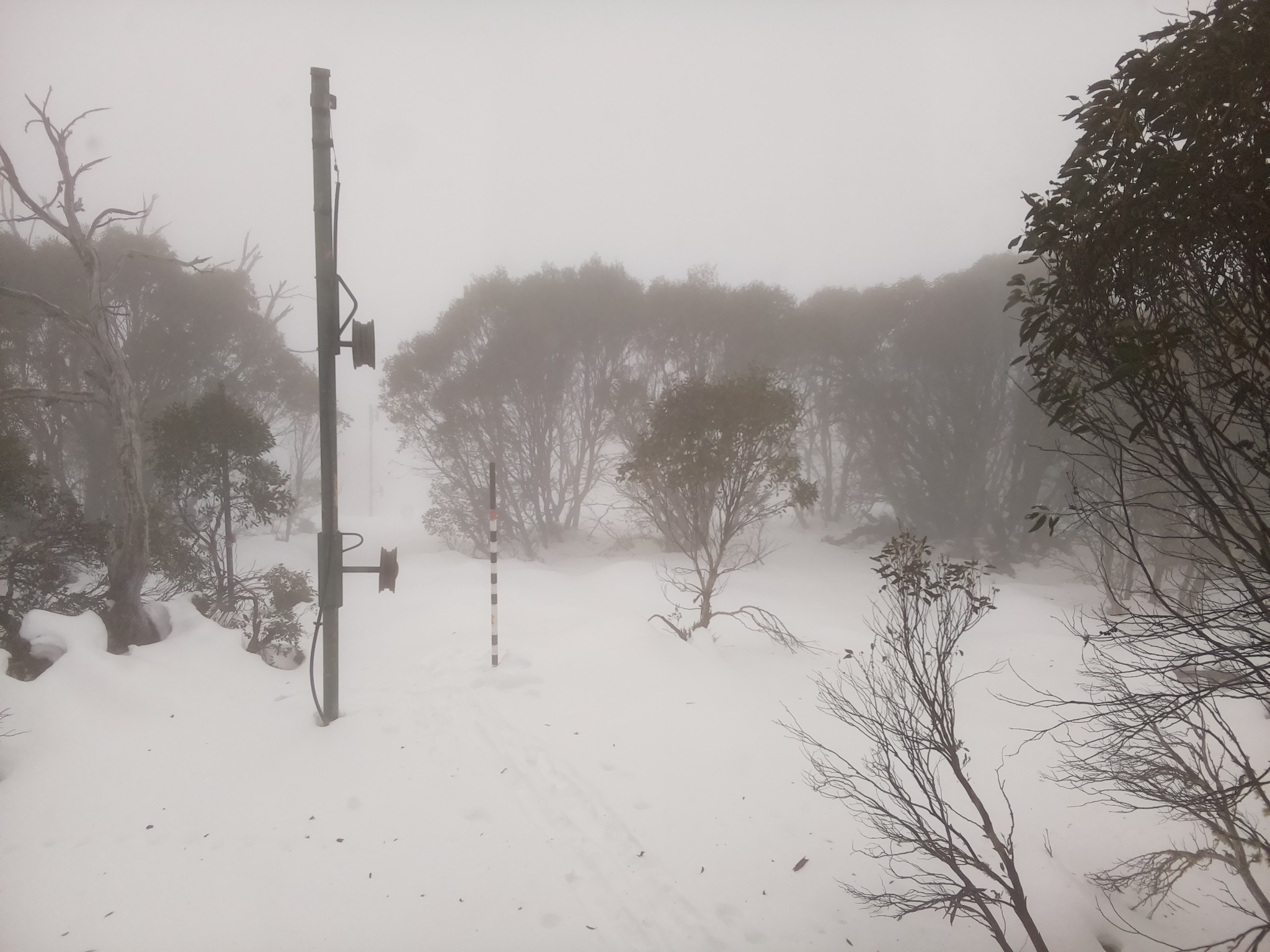 Bogong Web Cam 10:00am Monday 23rd of June 2025