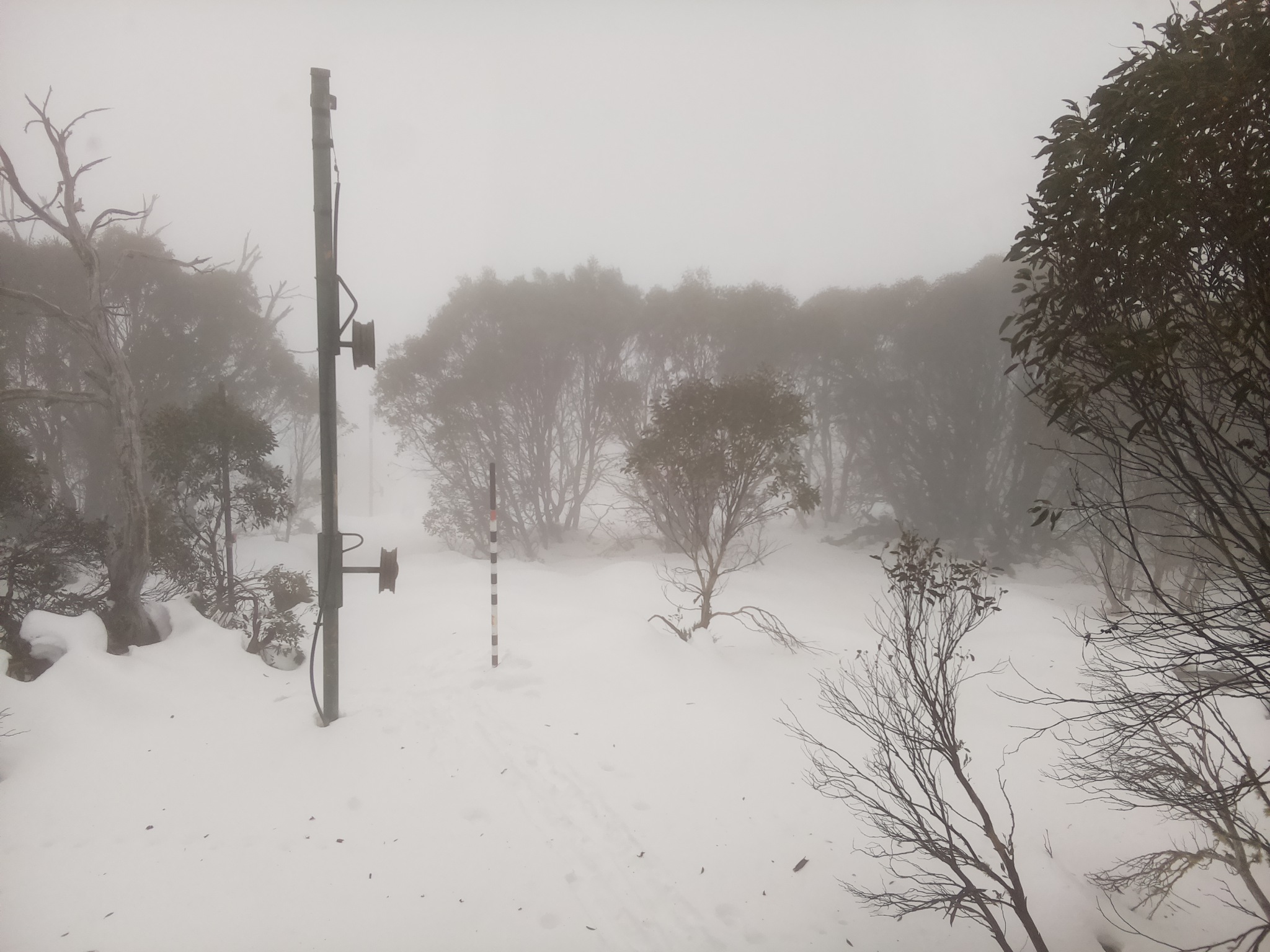Bogong Web Cam 10:10am Monday 23rd of June 2025