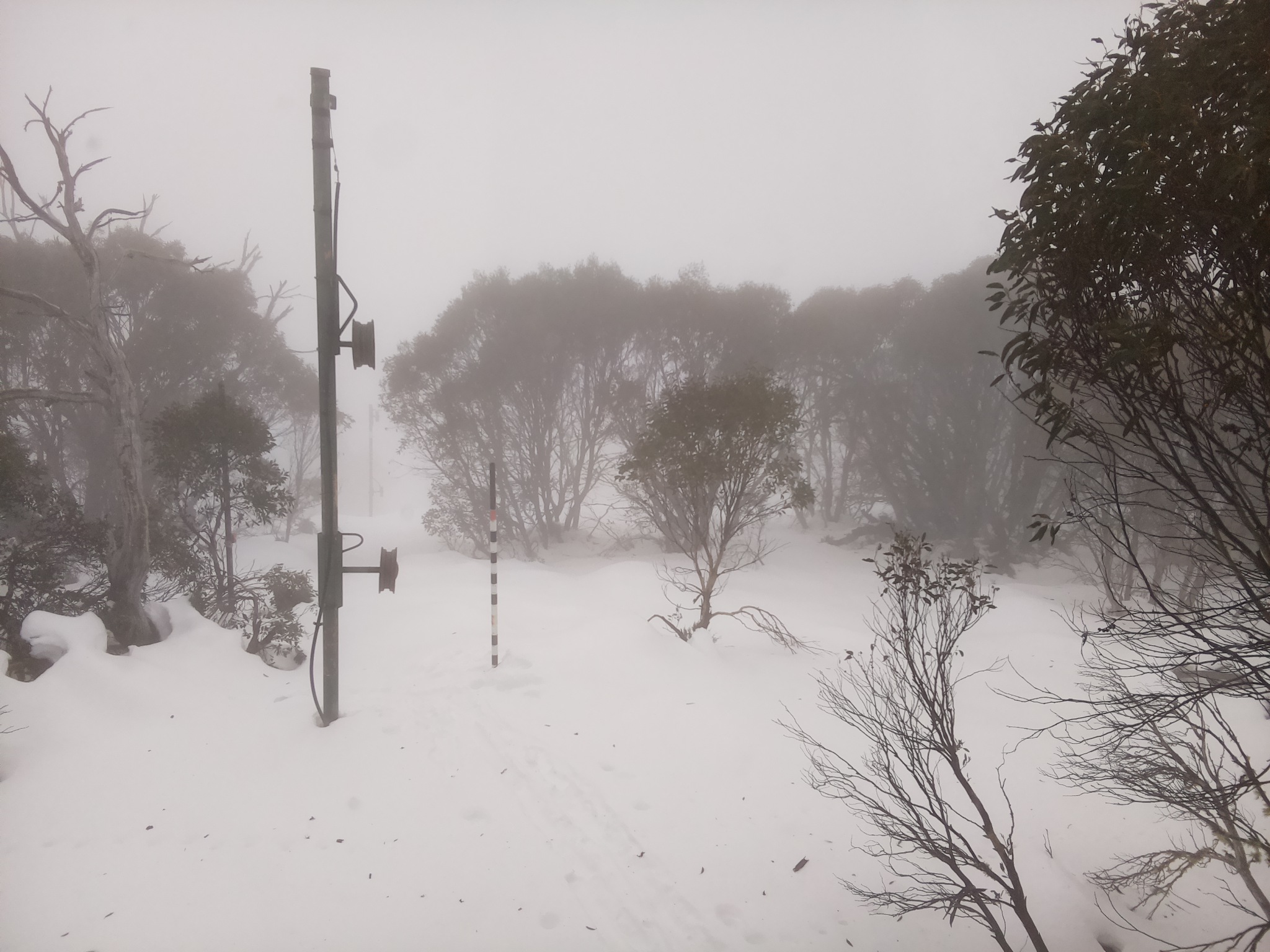 Bogong Web Cam 10:30am Monday 23rd of June 2025