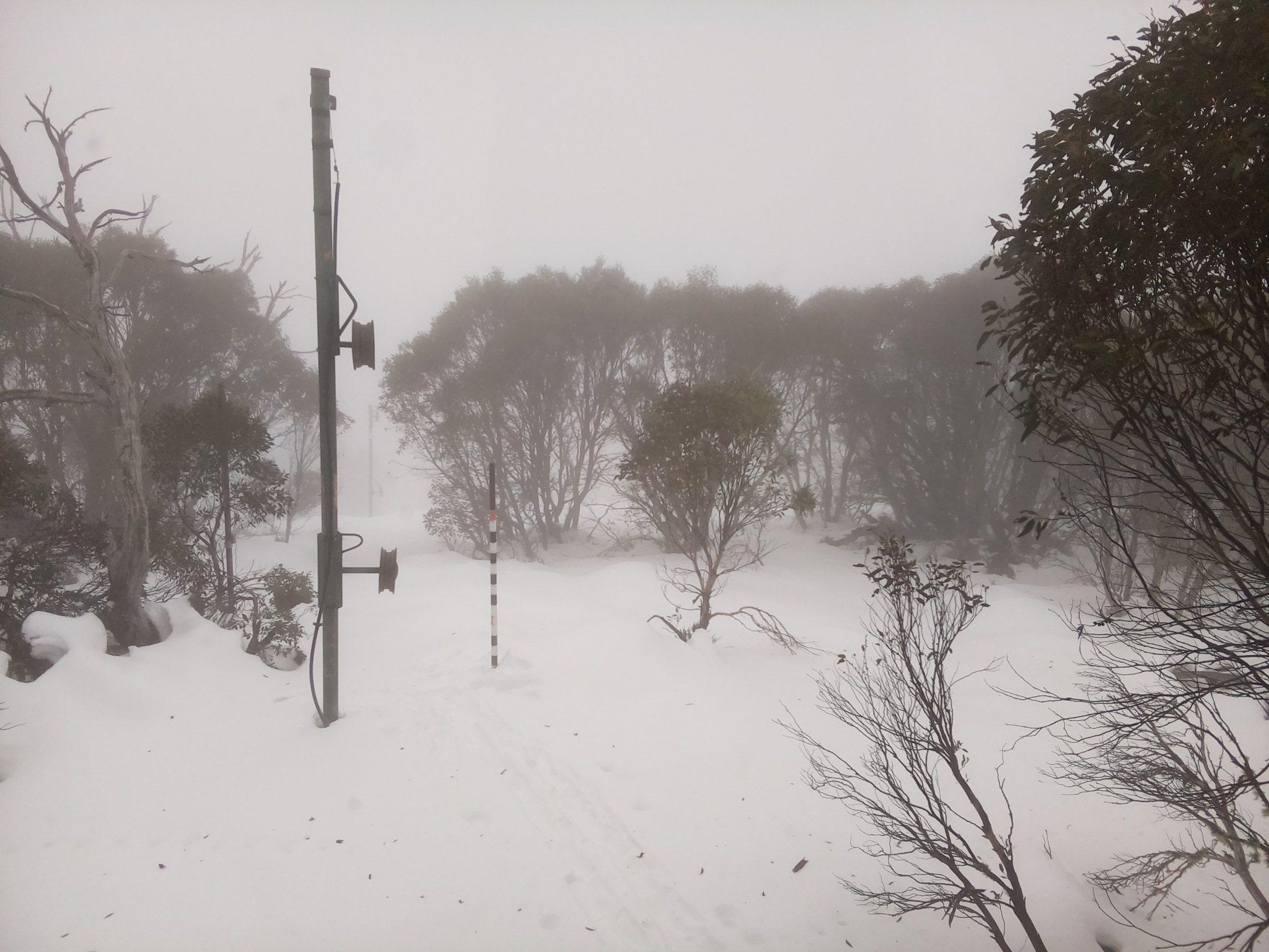 Bogong Web Cam 10:40am Monday 23rd of June 2025