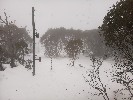 Thumbnail 11:10am Monday 23rd of June 2025