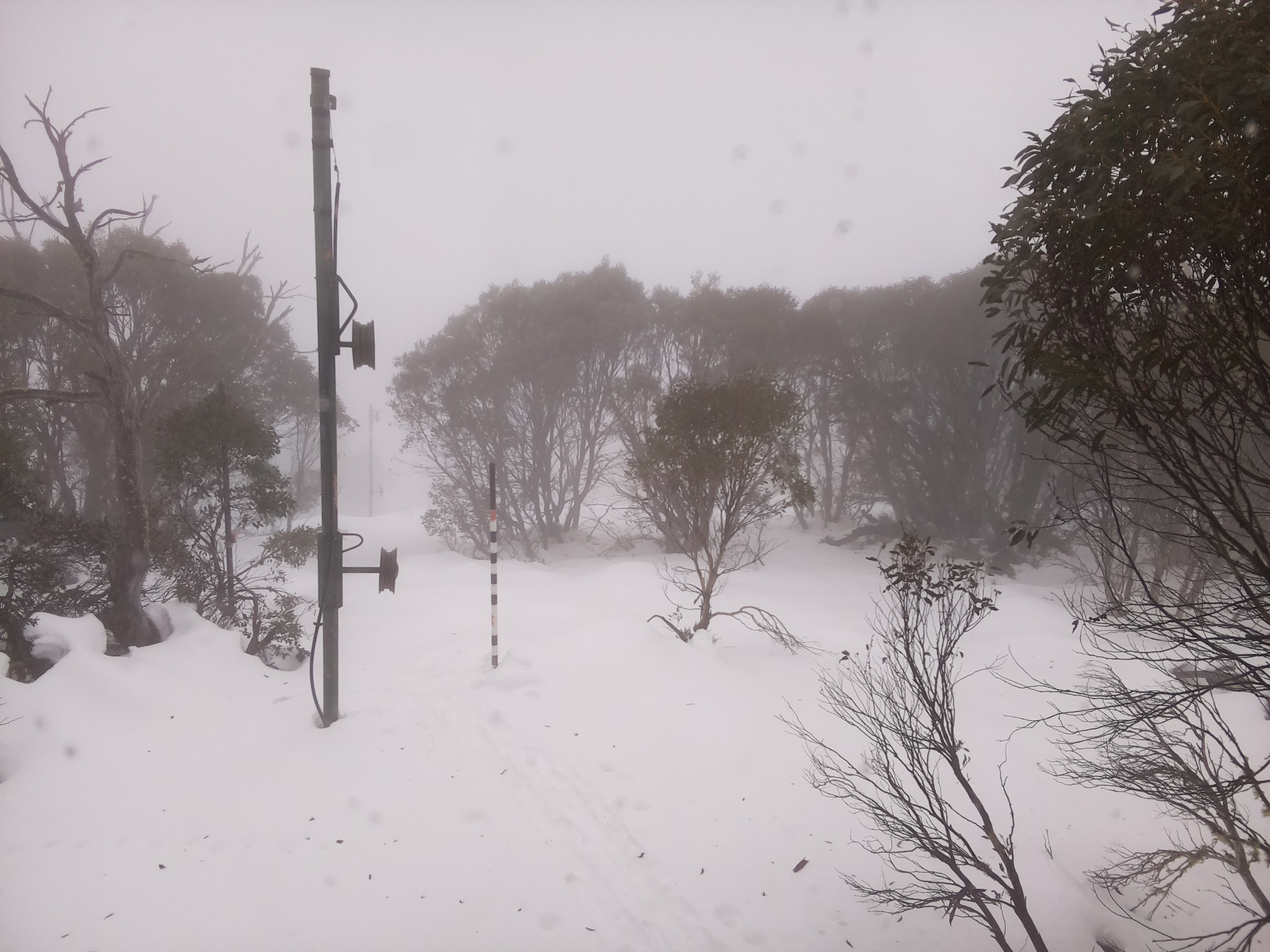 Bogong Web Cam 11:30am Monday 23rd of June 2025