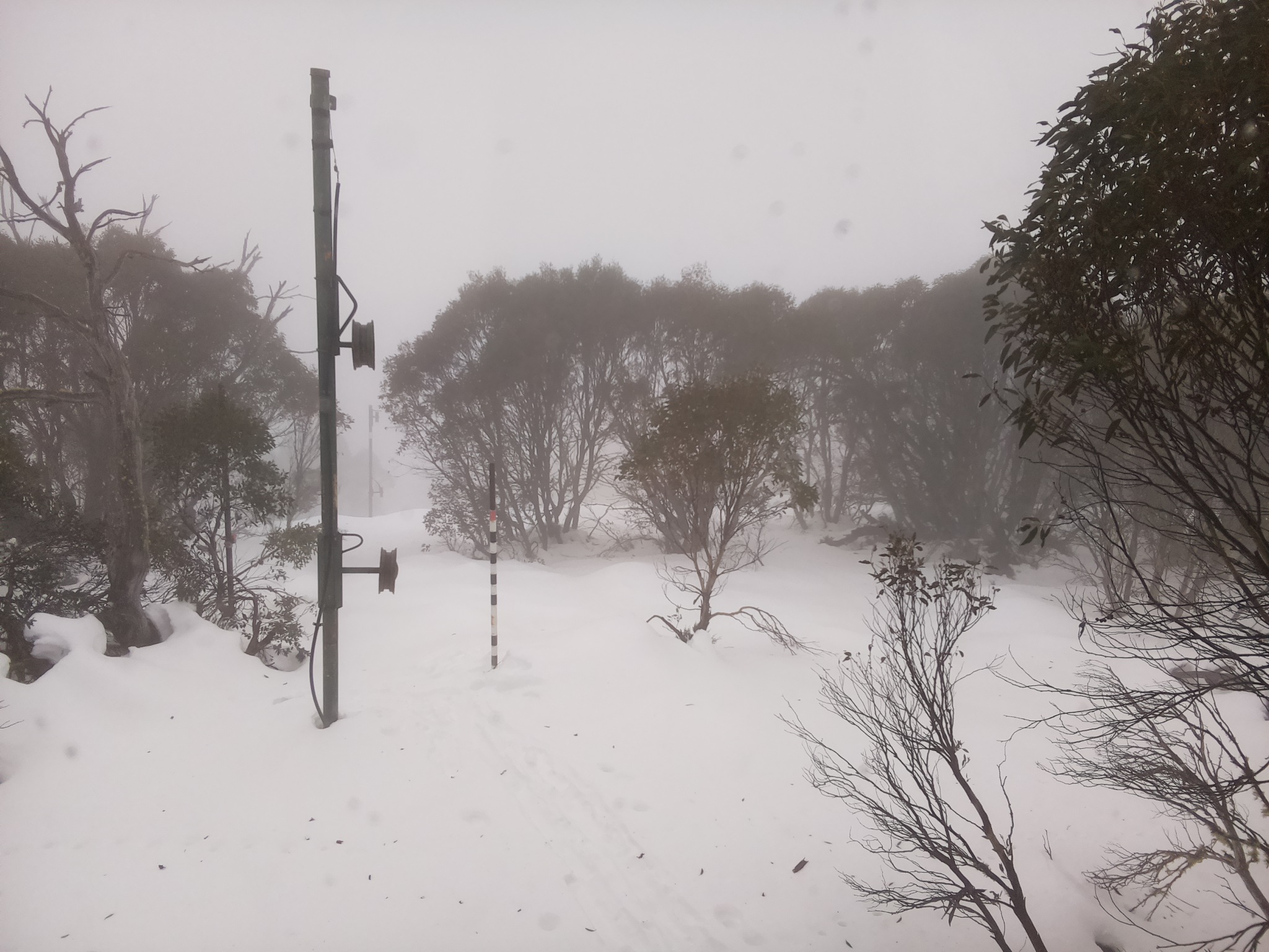 Bogong Web Cam 11:40am Monday 23rd of June 2025