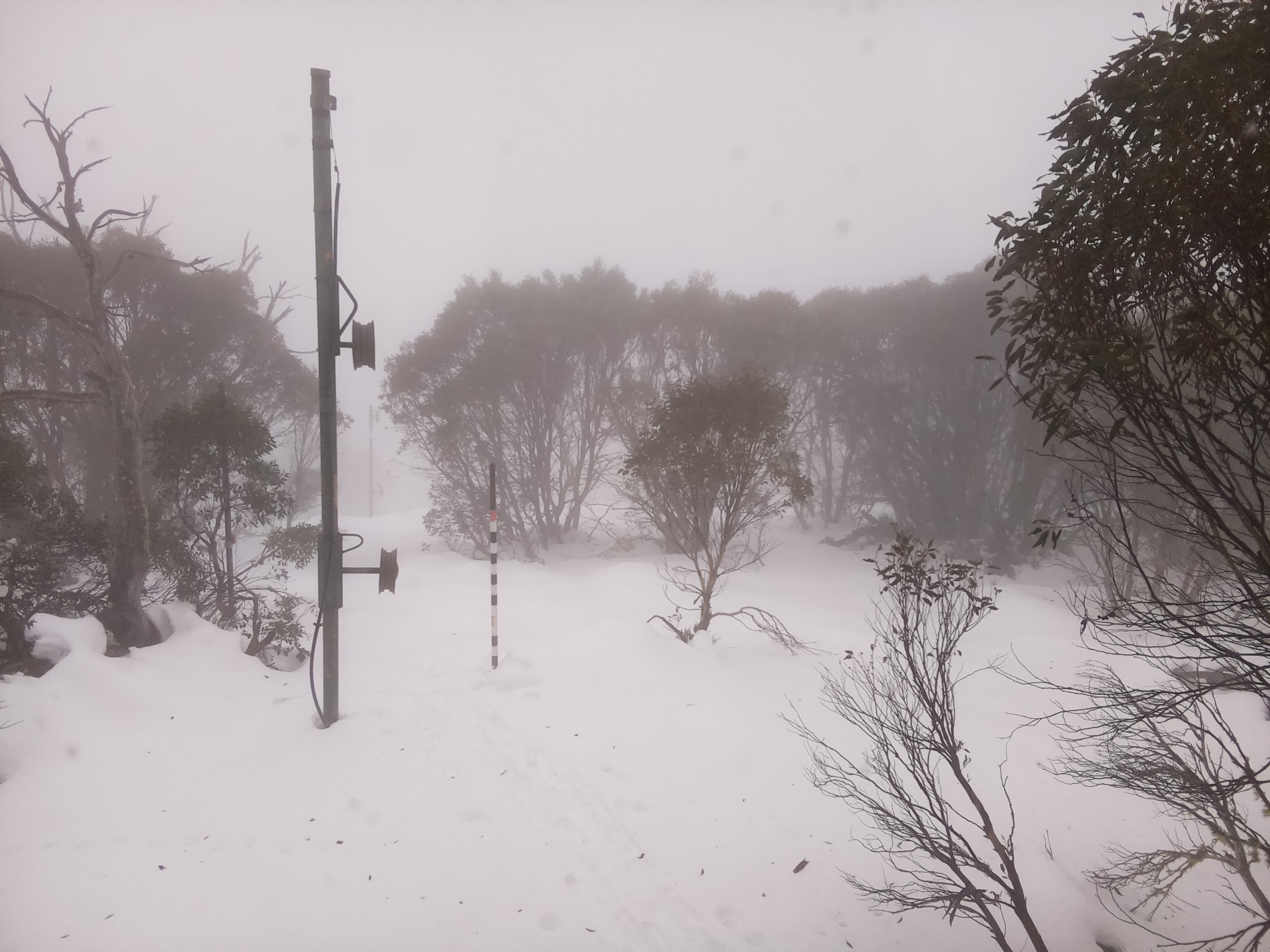 Bogong Web Cam 11:50am Monday 23rd of June 2025