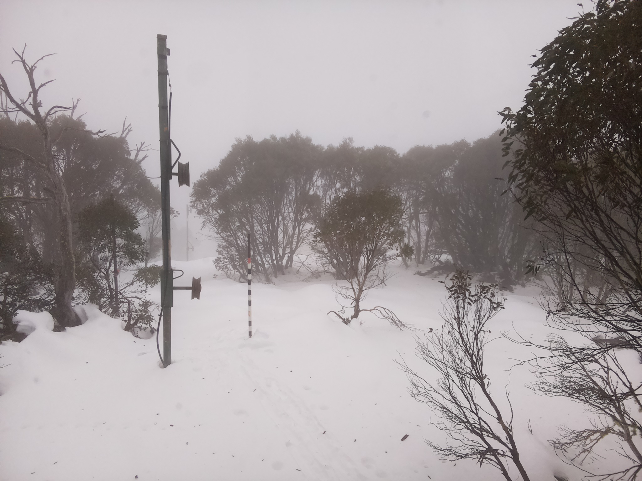 Bogong Web Cam 12:00pm Monday 23rd of June 2025