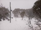 Thumbnail 12:00pm Monday 23rd of June 2025