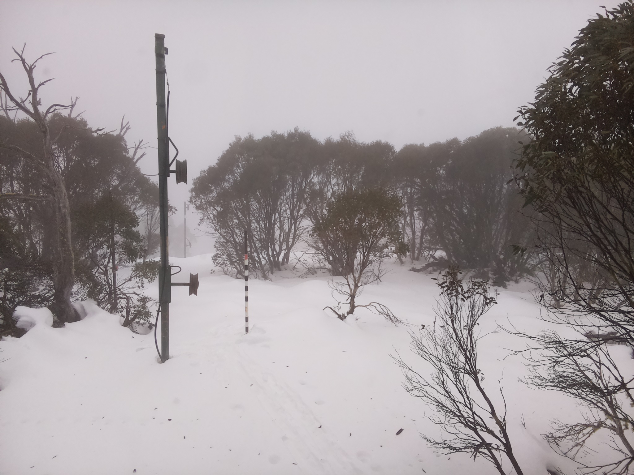 Bogong Web Cam 12:20pm Monday 23rd of June 2025