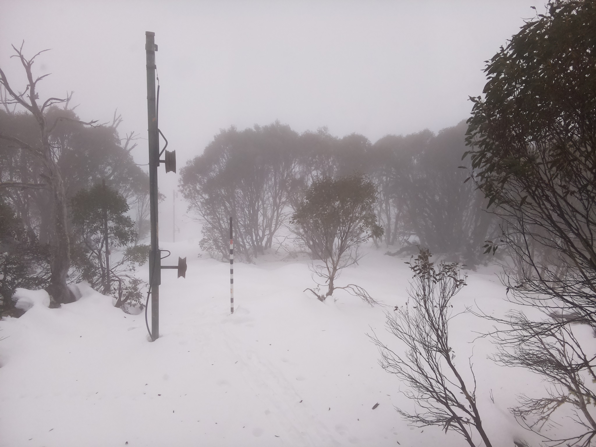 Bogong Web Cam 12:30pm Monday 23rd of June 2025