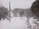 Selected Thumbnail 12:30pm Monday 23rd of June 2025