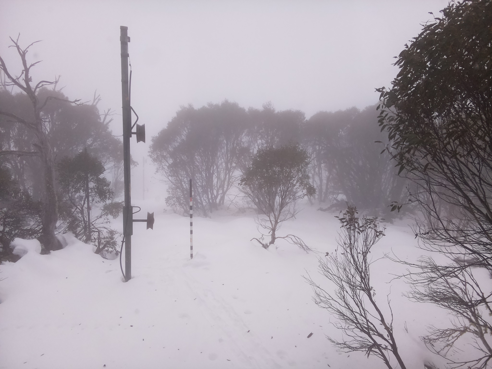 Bogong Web Cam 12:40pm Monday 23rd of June 2025