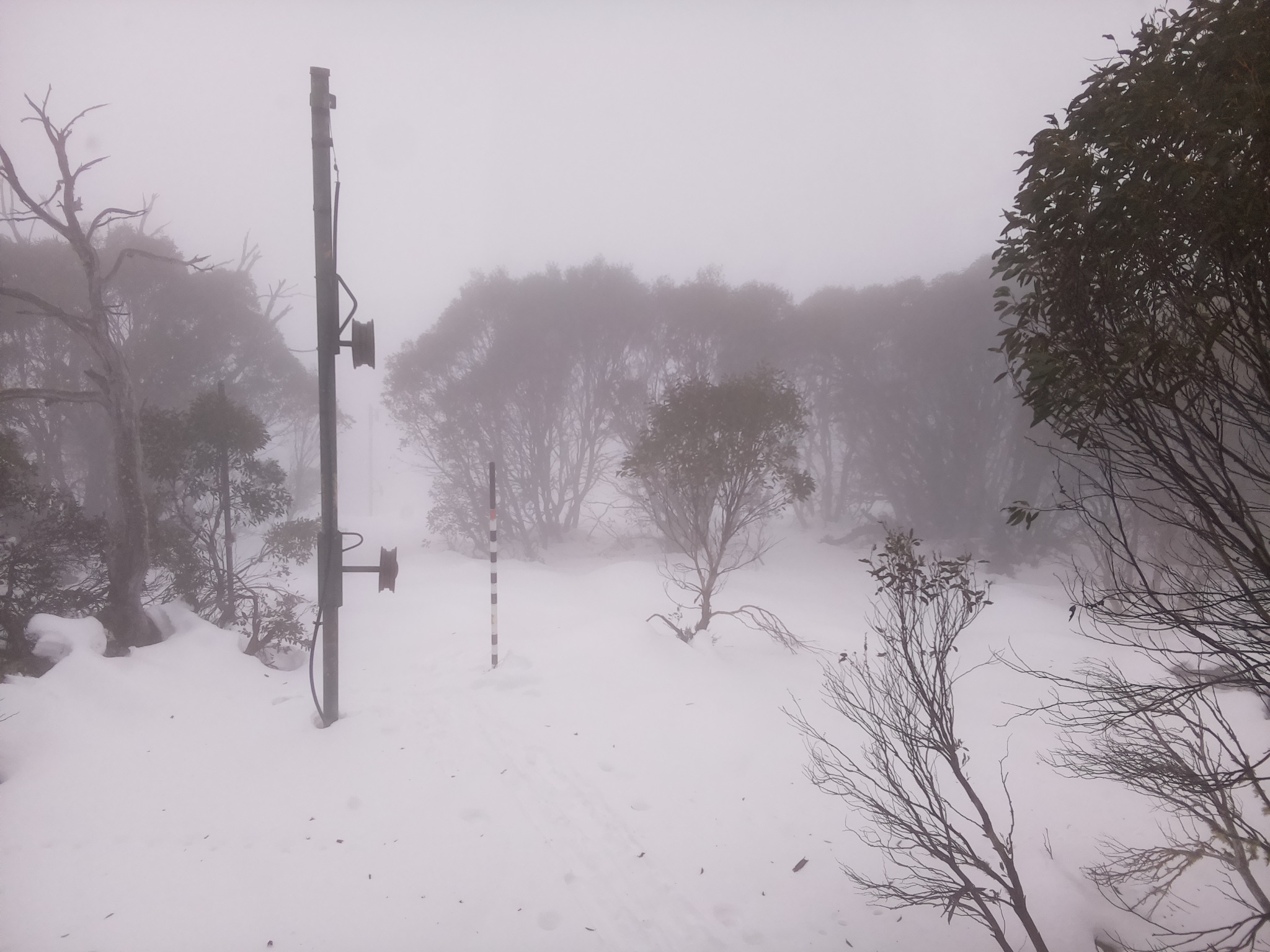 Bogong Web Cam 1:00pm Monday 23rd of June 2025